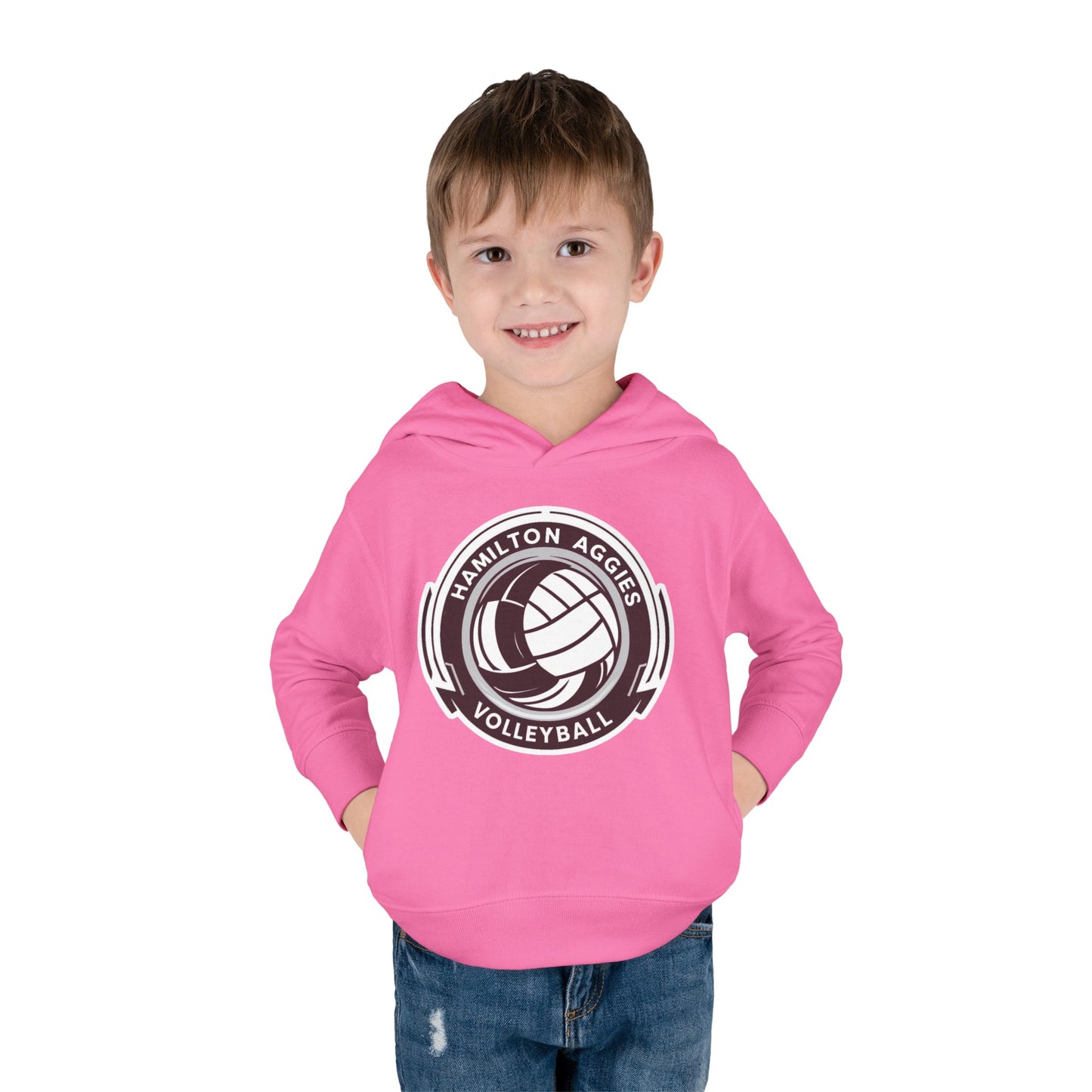 Toddler Hoodie Sweatshirt \ Hamilton Aggies Volleyball \ HAV1