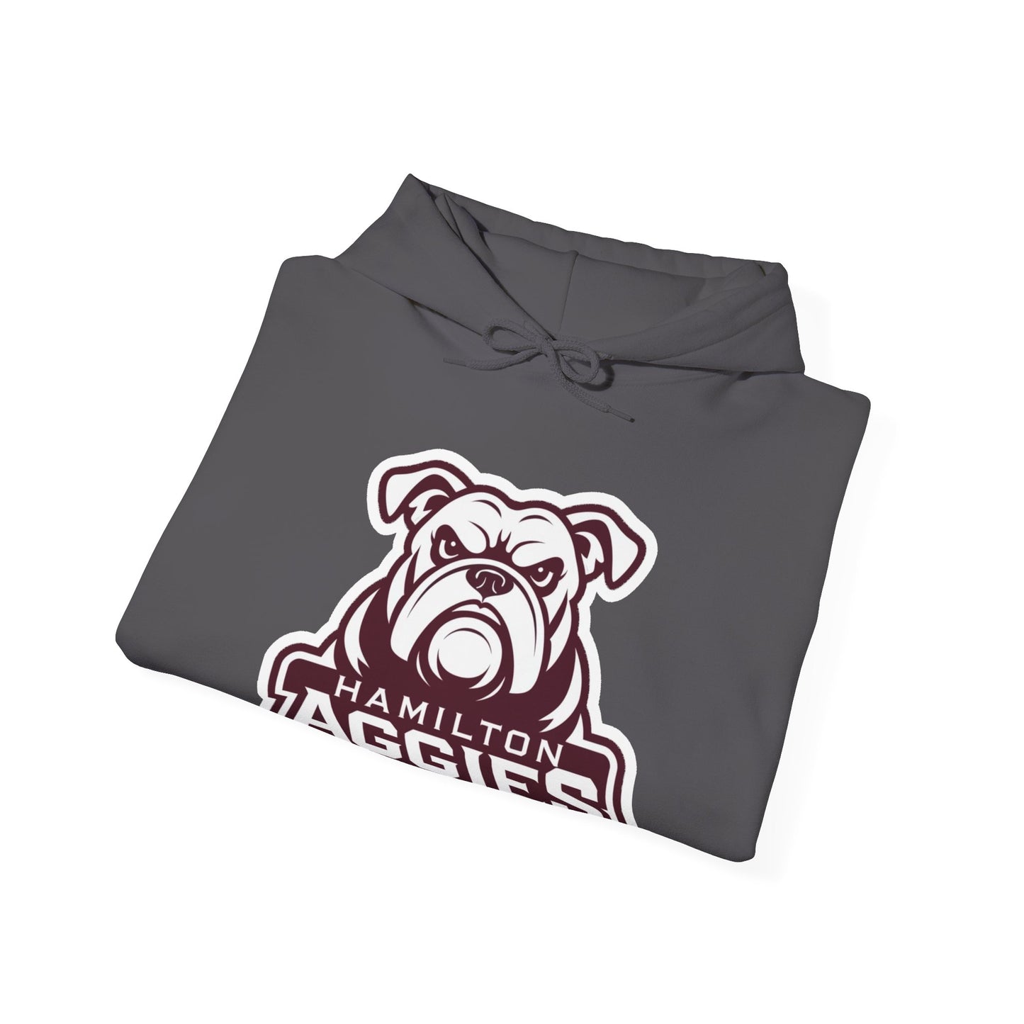 Adult Hoodie Sweatshirt \ Hamilton Aggies \ HA4