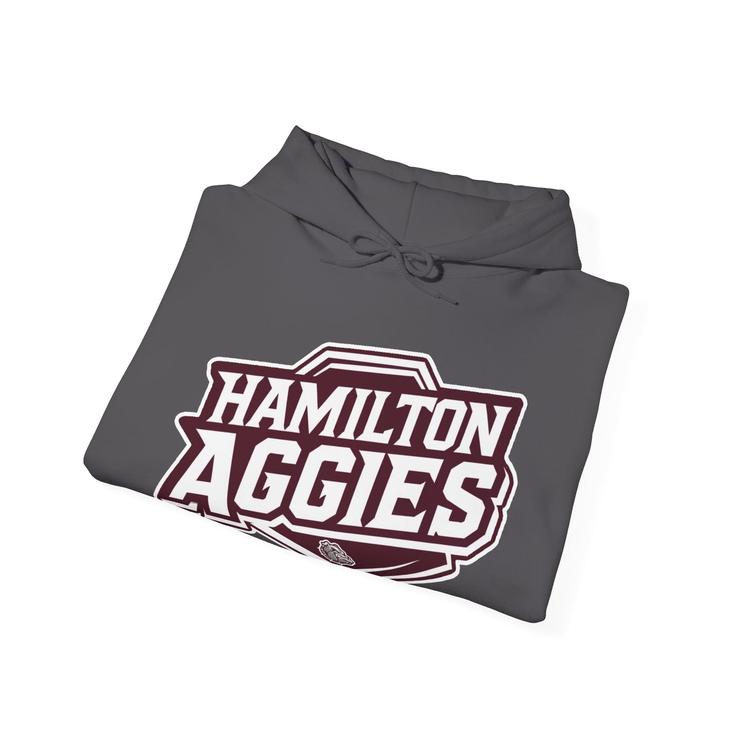 Adult Hoodie Sweatshirt \ Hamilton Aggies \ HA1
