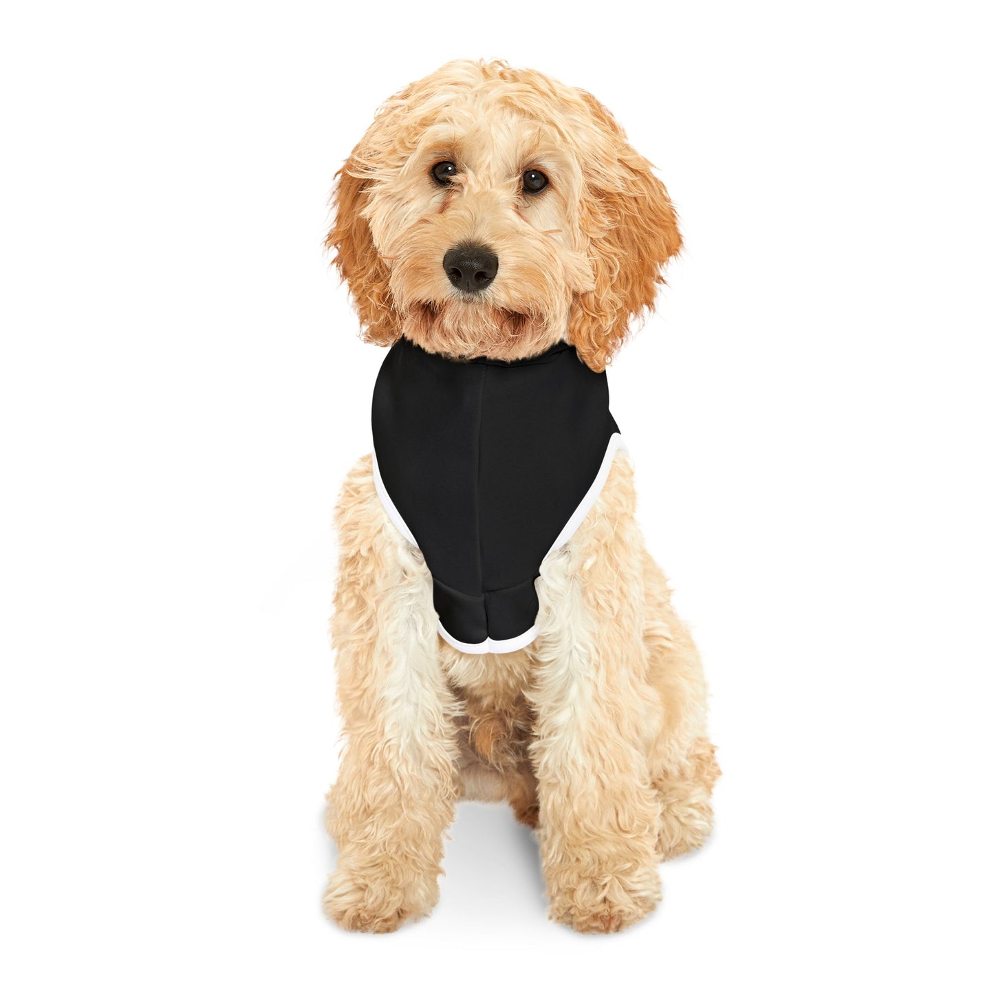 Pet Hoodie \ Hackleburg Panthers Band \ HPB2