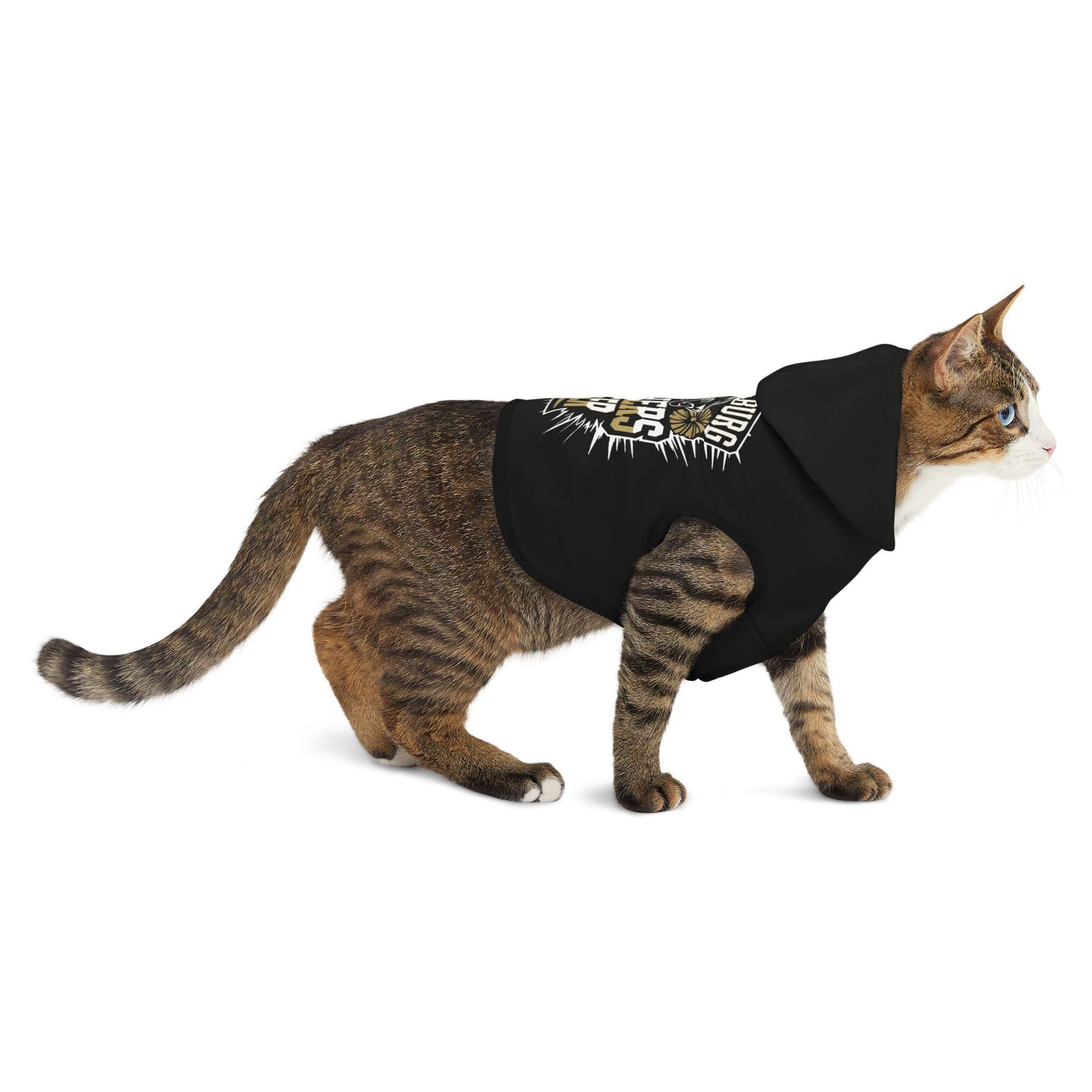 Pet Hoodie \ Hackleburg Panthers \ HPC1