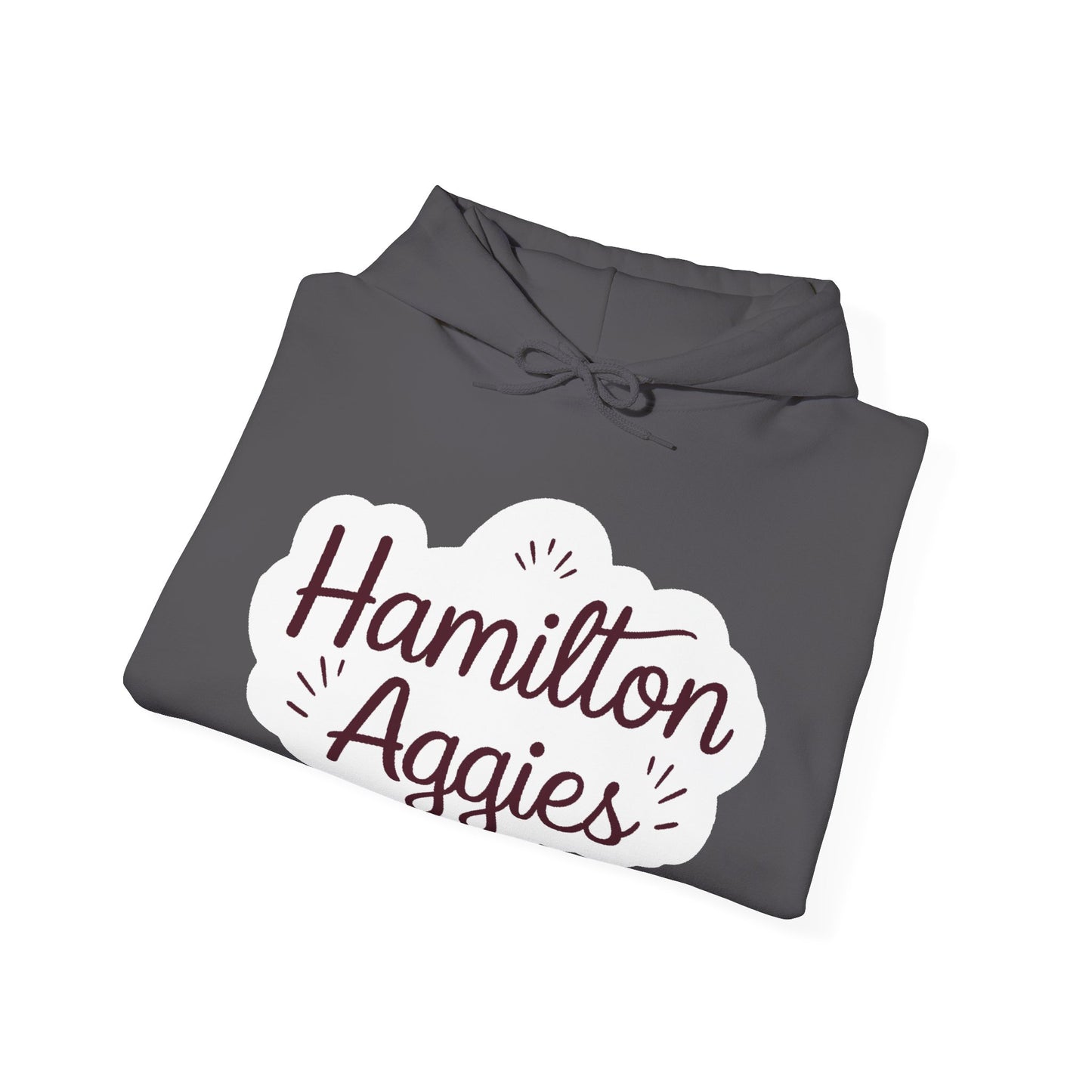 Adult Hoodie Sweatshirt \ Hamilton Aggies \ HAG1