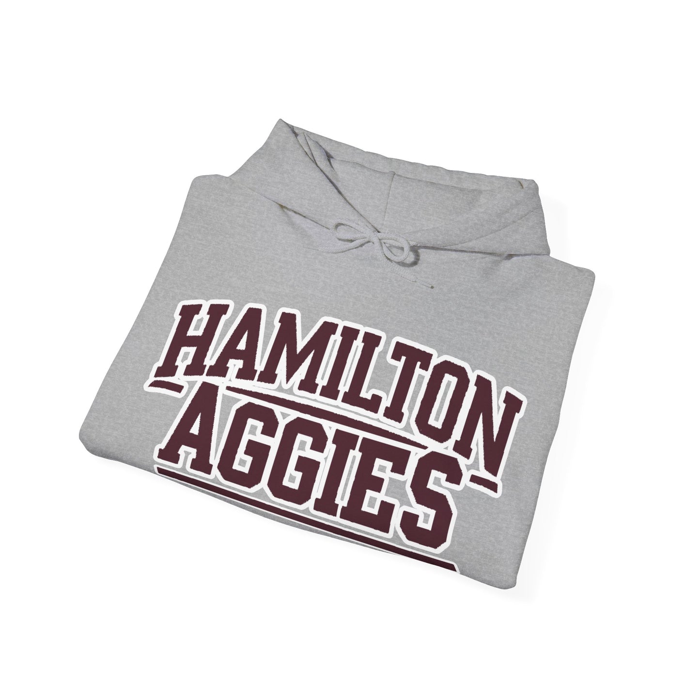 Adult Hoodie Sweatshirt \ Hamilton Aggies \ HA2