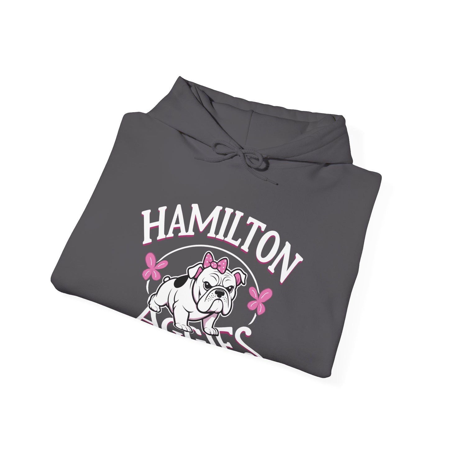 Adult Hoodie Sweatshirt \ Hamilton Aggies \ HAG4