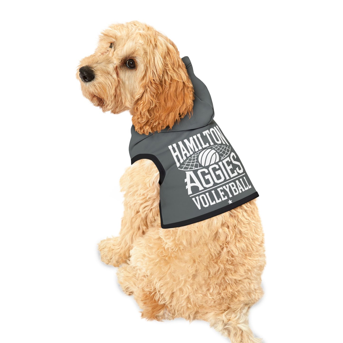 Pet Hoodie \ Hamilton Aggies Volleyball \ HAV2