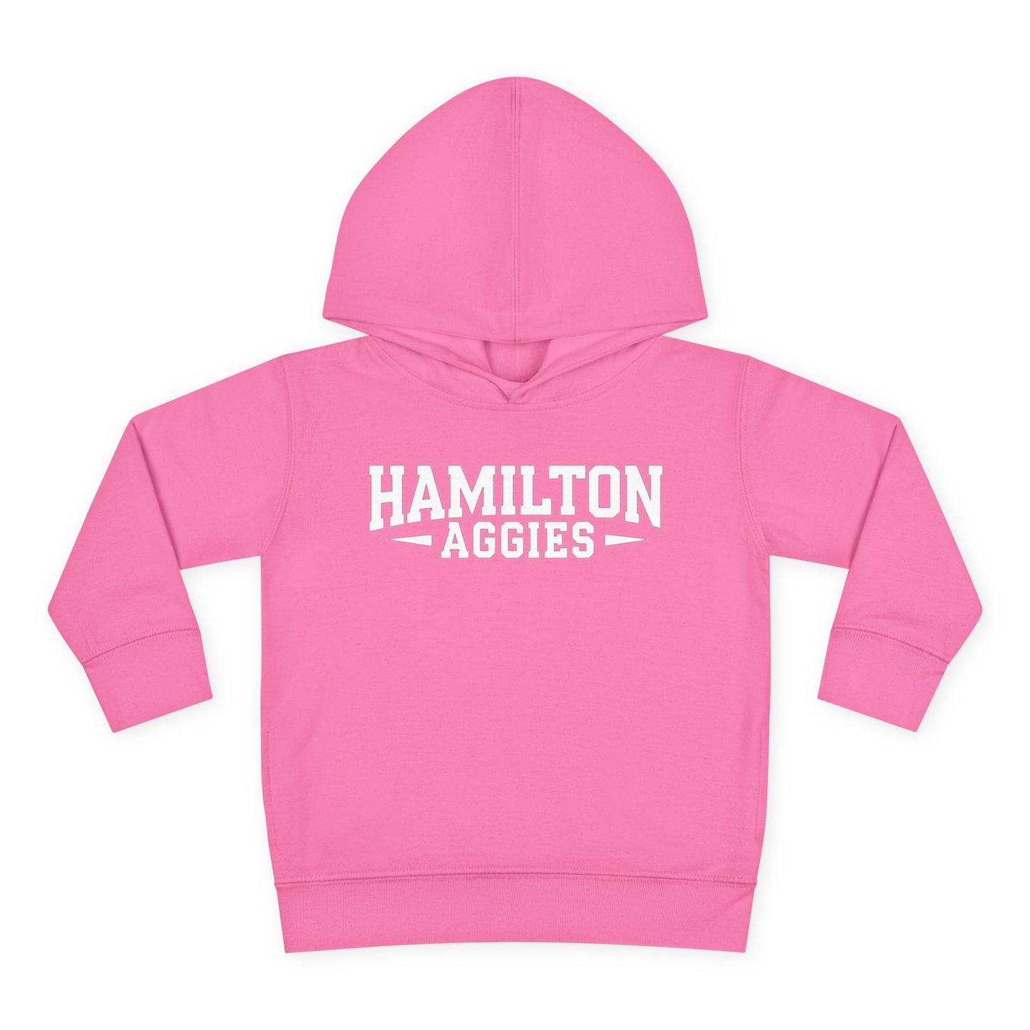 Toddler Hoodie Sweatshirt \ Hamilton Aggies \ HA3