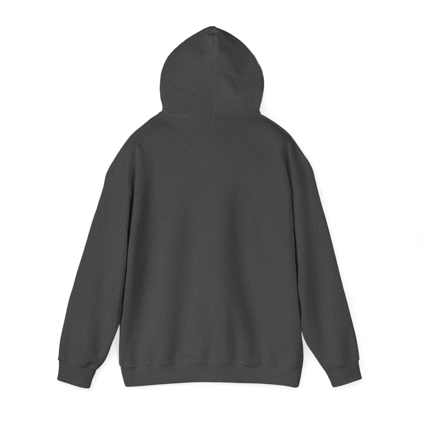 Adult Hoodie Sweatshirt \ Hackleburg Panthers Cheer \ HPC2