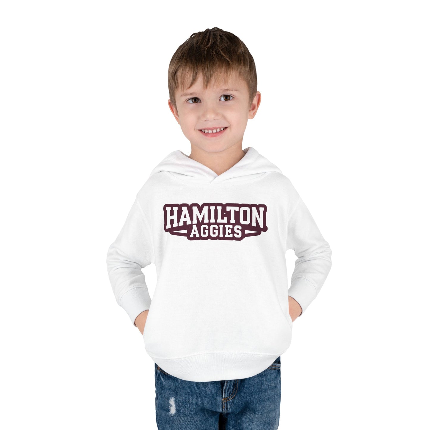 Toddler Hoodie Sweatshirt \ Hamilton Aggies \ HA3