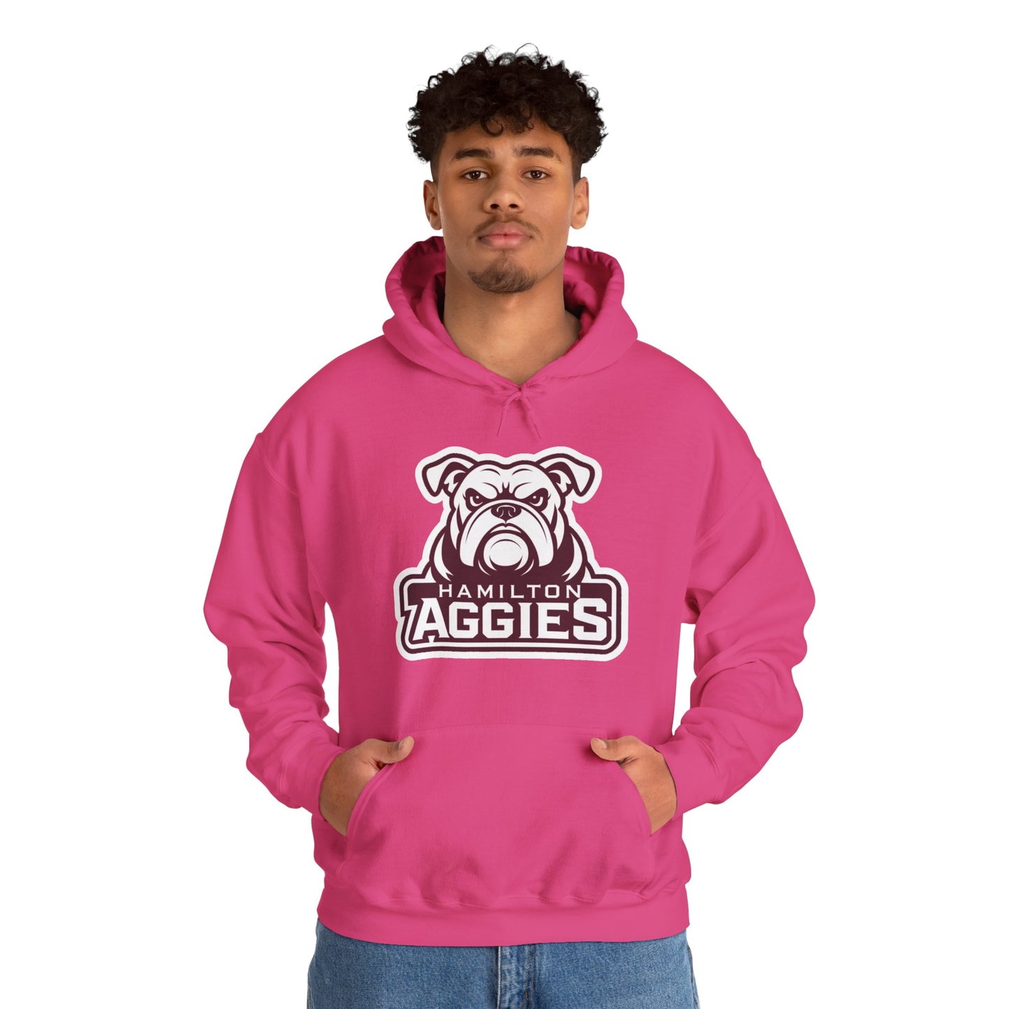 Adult Hoodie Sweatshirt \ Hamilton Aggies \ HA4
