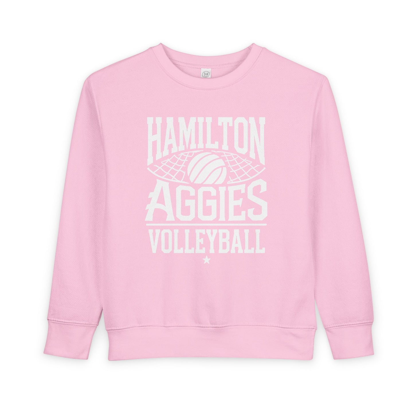 Toddler Crewneck Sweatshirt \ Hamilton Aggies Volleyball \ HAV2