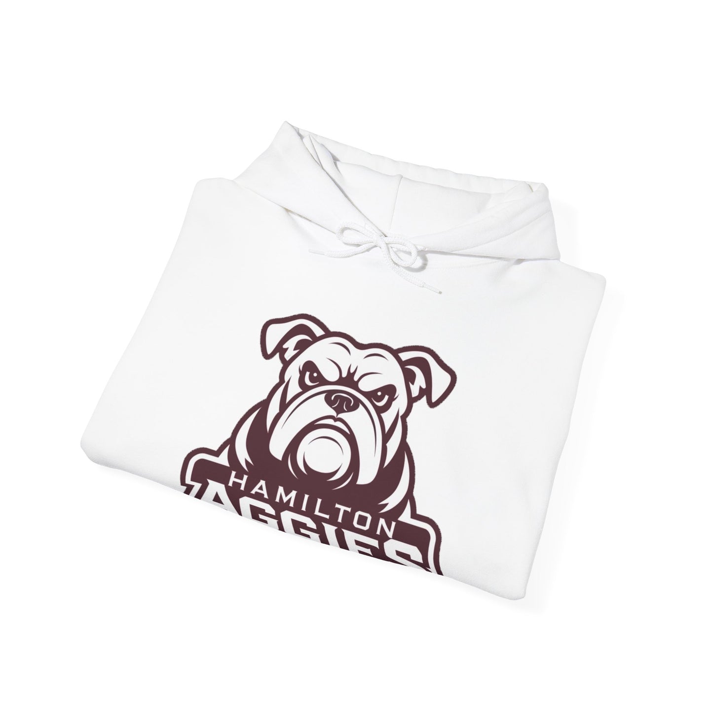Adult Hoodie Sweatshirt \ Hamilton Aggies \ HA4