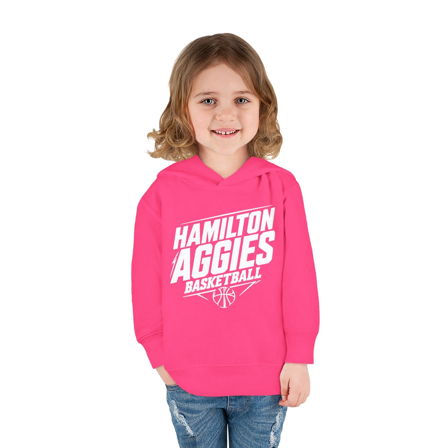 Toddler Hoodie Sweatshirt \ Hamilton Aggies Basketball \ HABB2