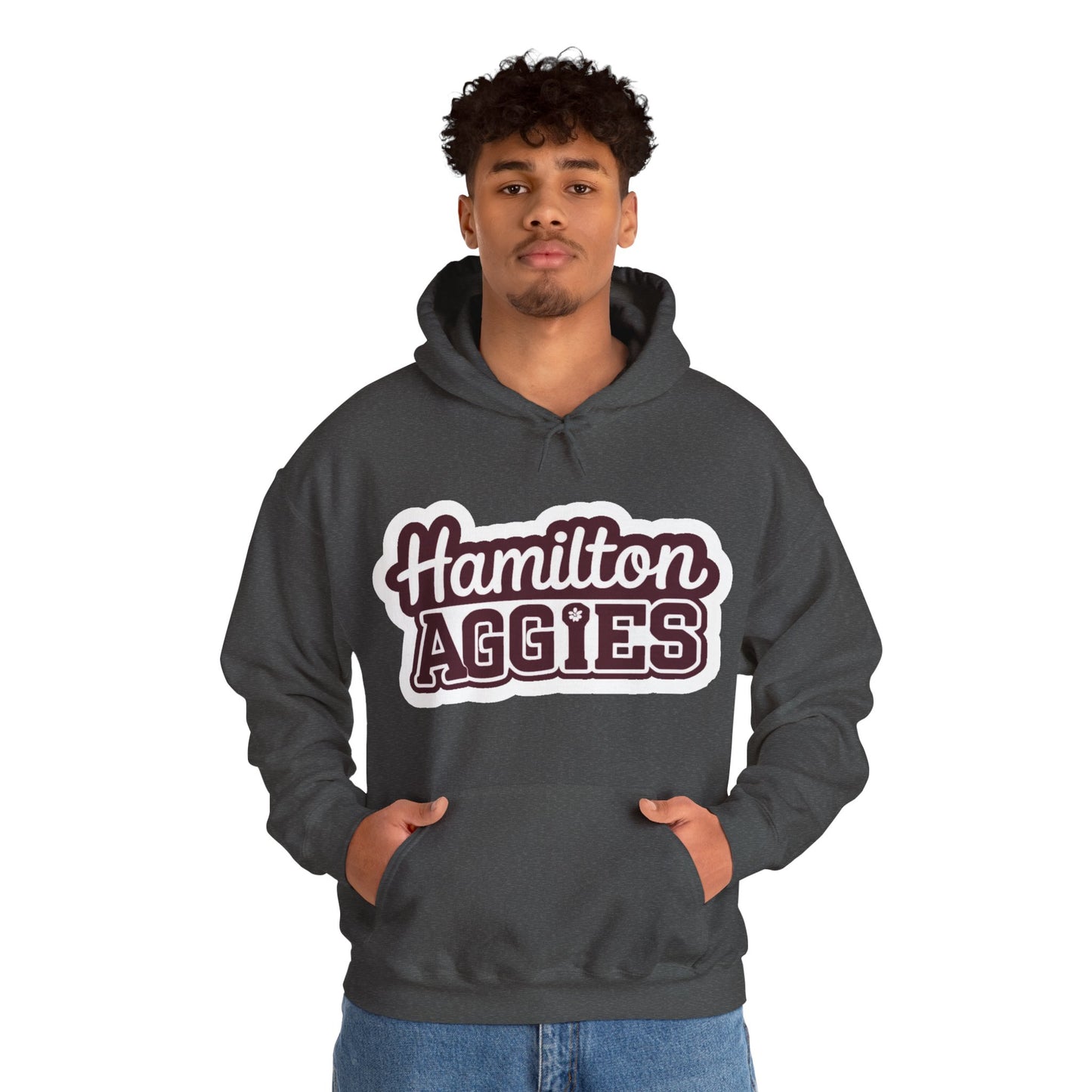 Adult Hoodie Sweatshirt \ Hamilton Aggies \ HAG2
