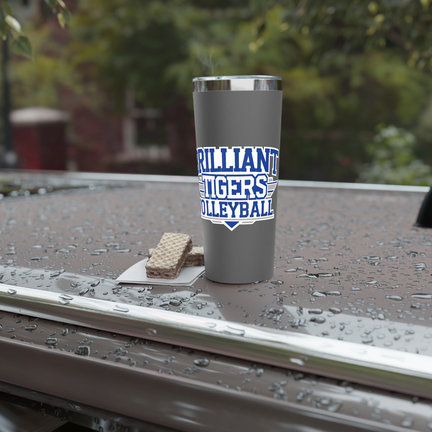 22oz Copper Insulated Tumbler \ Brilliant Tigers Volleyball \ BTV2