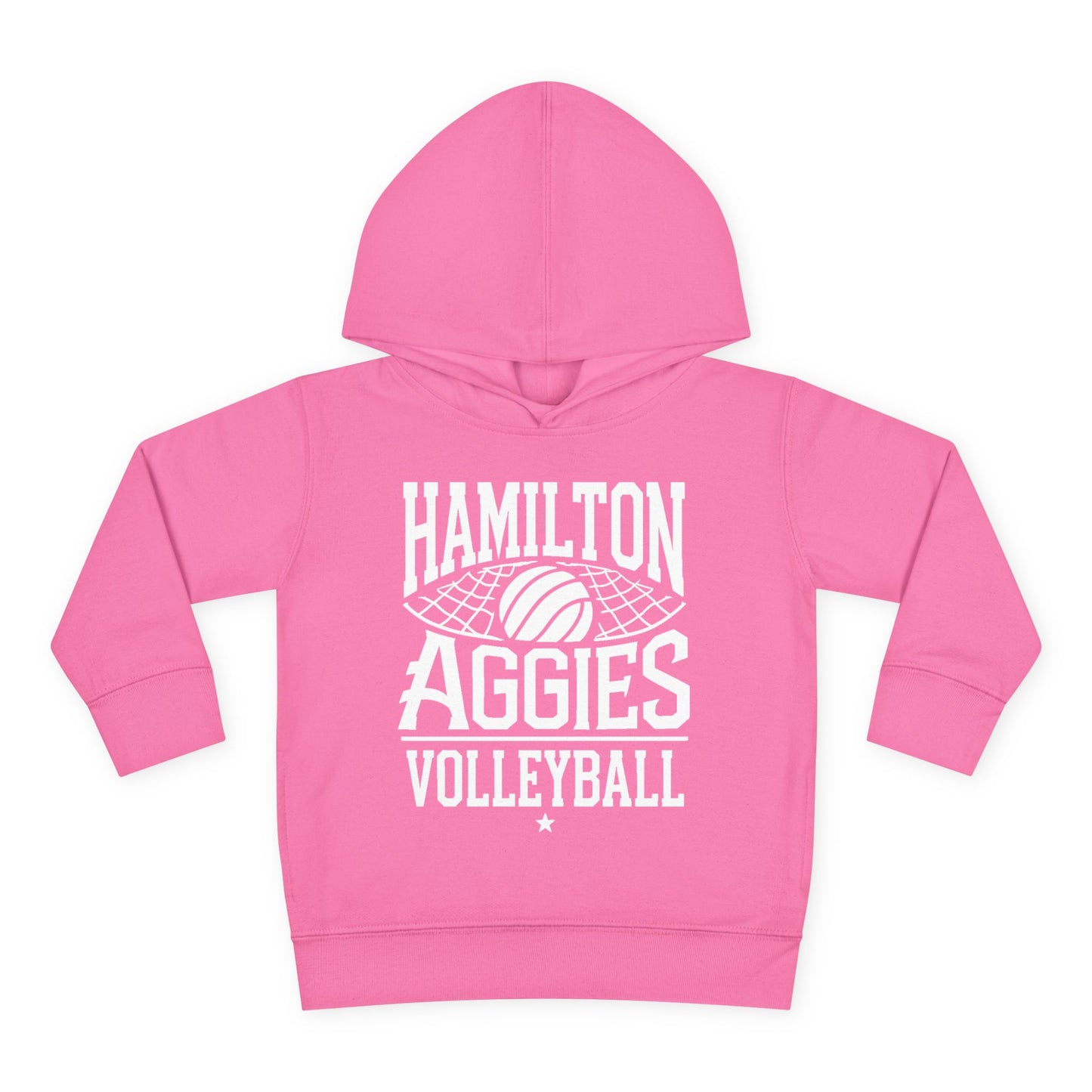 Toddler Hoodie Sweatshirt \ Hamilton Aggies Volleyball \ HAV2