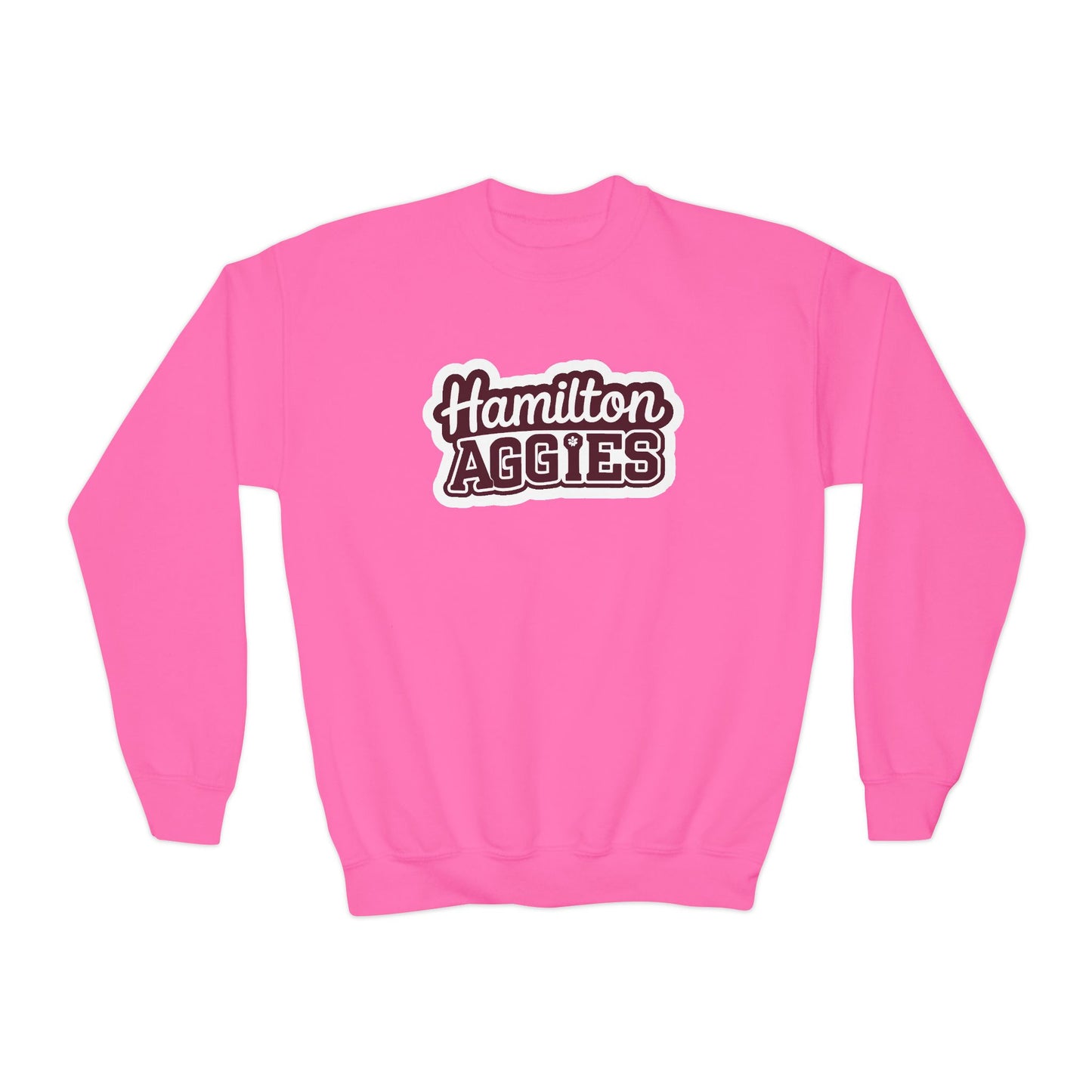 Youth Crewneck Sweatshirt \ Hamilton Aggies \ HAG2