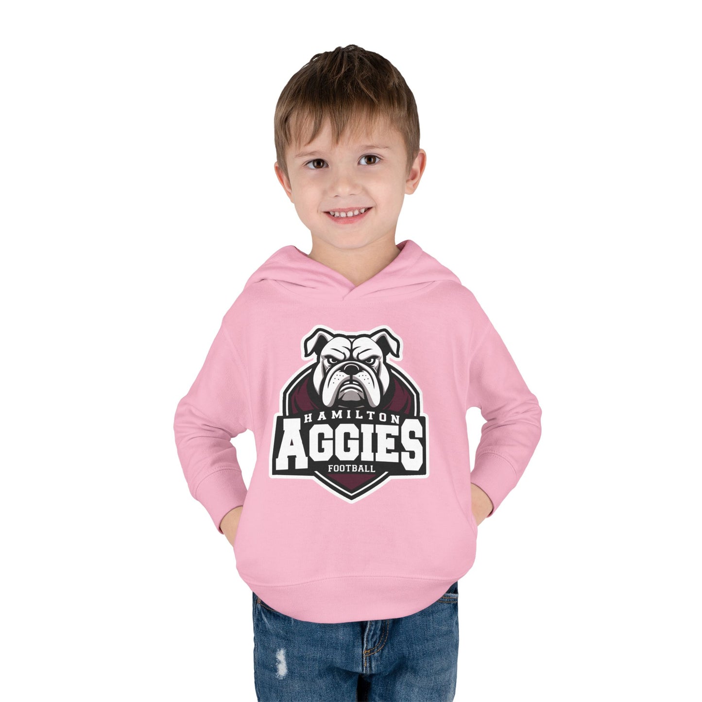Toddler Hoodie Sweatshirt \ Hamilton Aggies Football \ HAF2