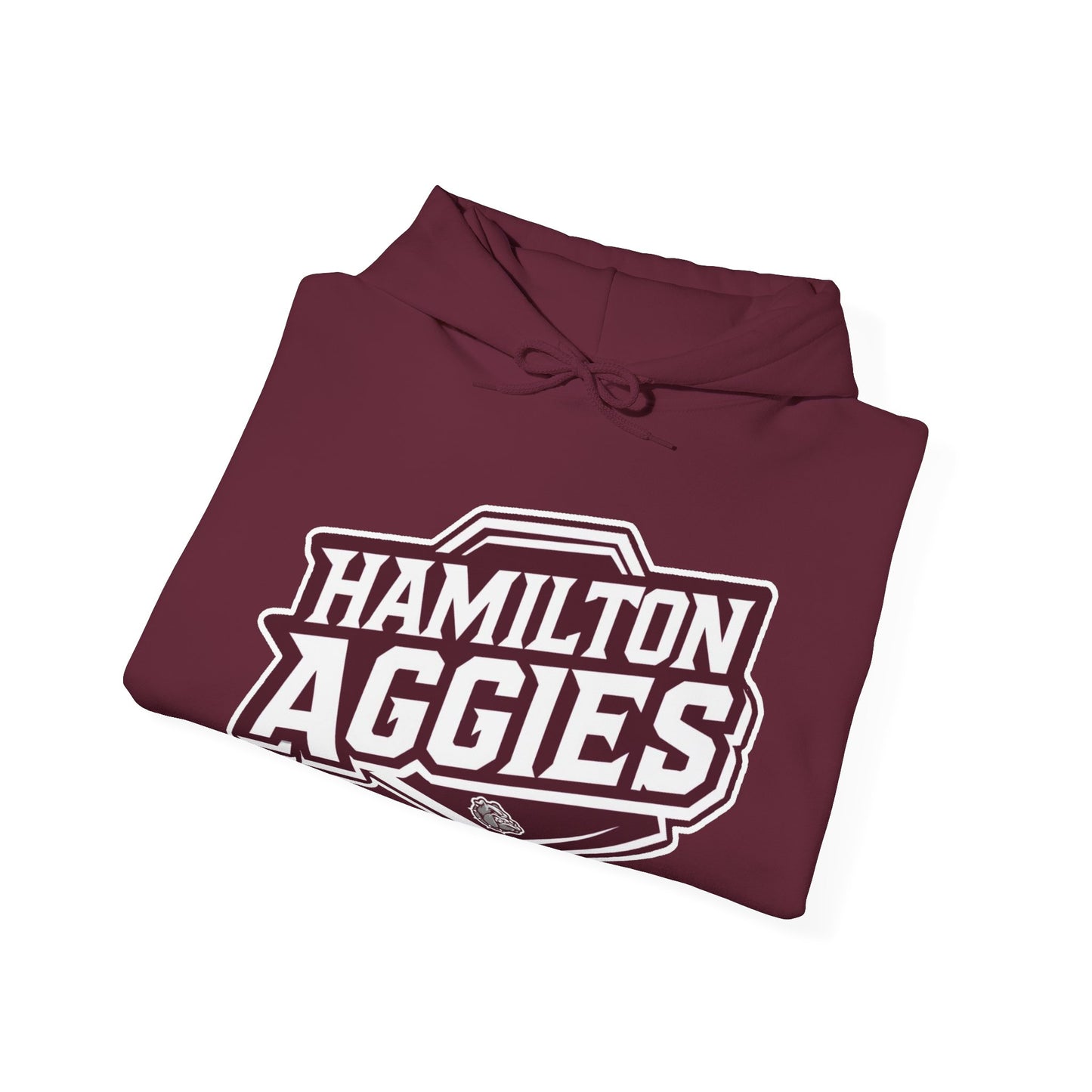 Adult Hoodie Sweatshirt \ Hamilton Aggies \ HA1