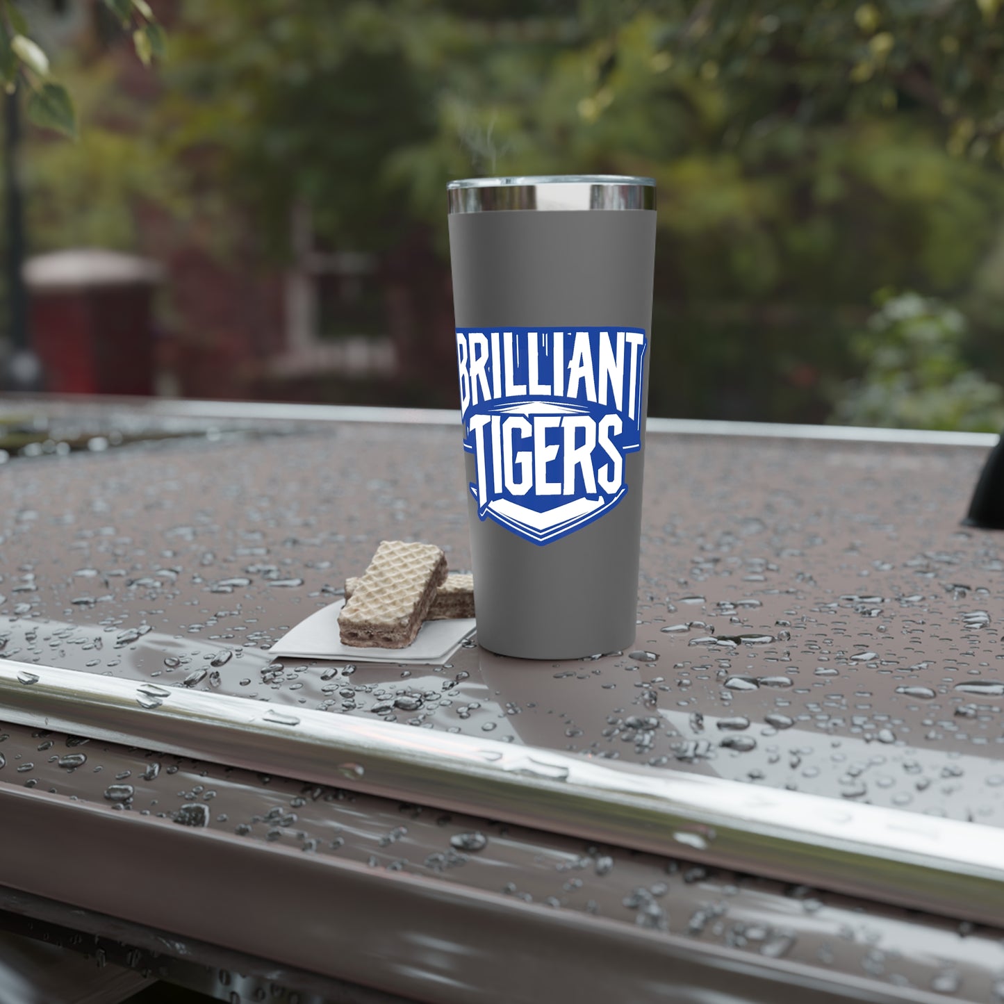22oz Copper Insulated Tumbler \ Brilliant Tigers \ BT2