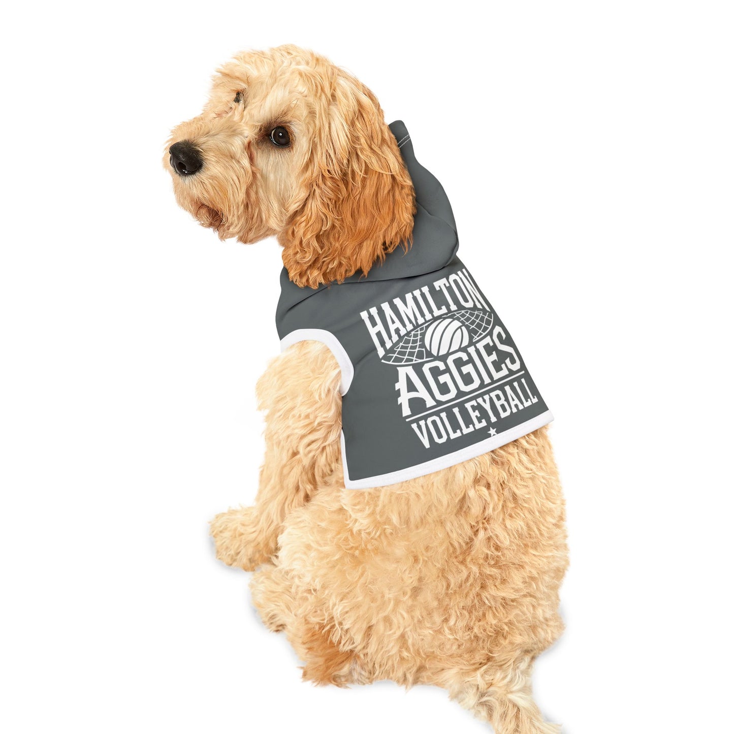 Pet Hoodie \ Hamilton Aggies Volleyball \ HAV2