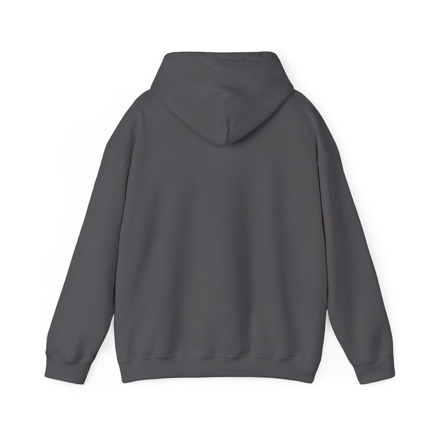 Adult Hoodie Sweatshirt \ Marion County Red Raiders Band \ MCB2
