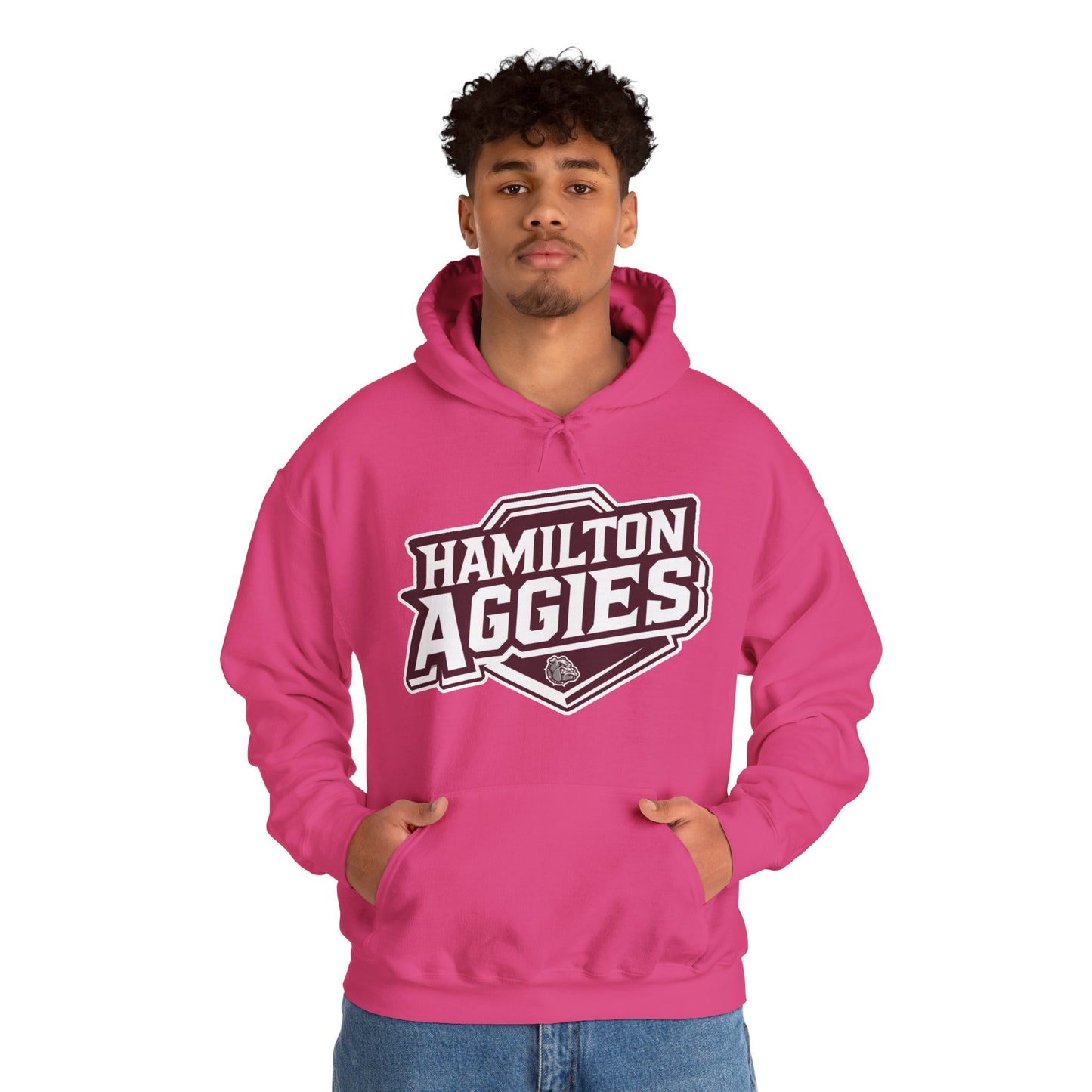 Adult Hoodie Sweatshirt \ Hamilton Aggies \ HA1