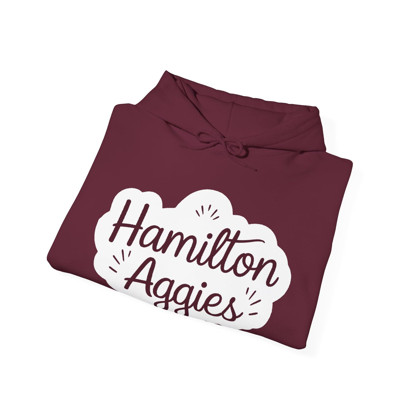 Adult Hoodie Sweatshirt \ Hamilton Aggies \ HAG1