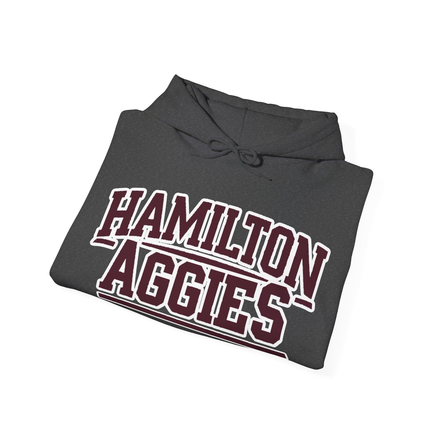 Adult Hoodie Sweatshirt \ Hamilton Aggies \ HA2