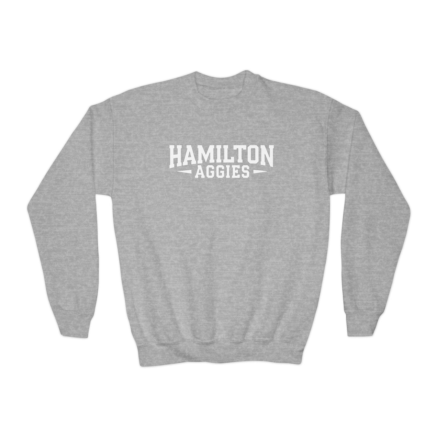 Youth Crewneck Sweatshirt \ Hamilton Aggies \ HA3