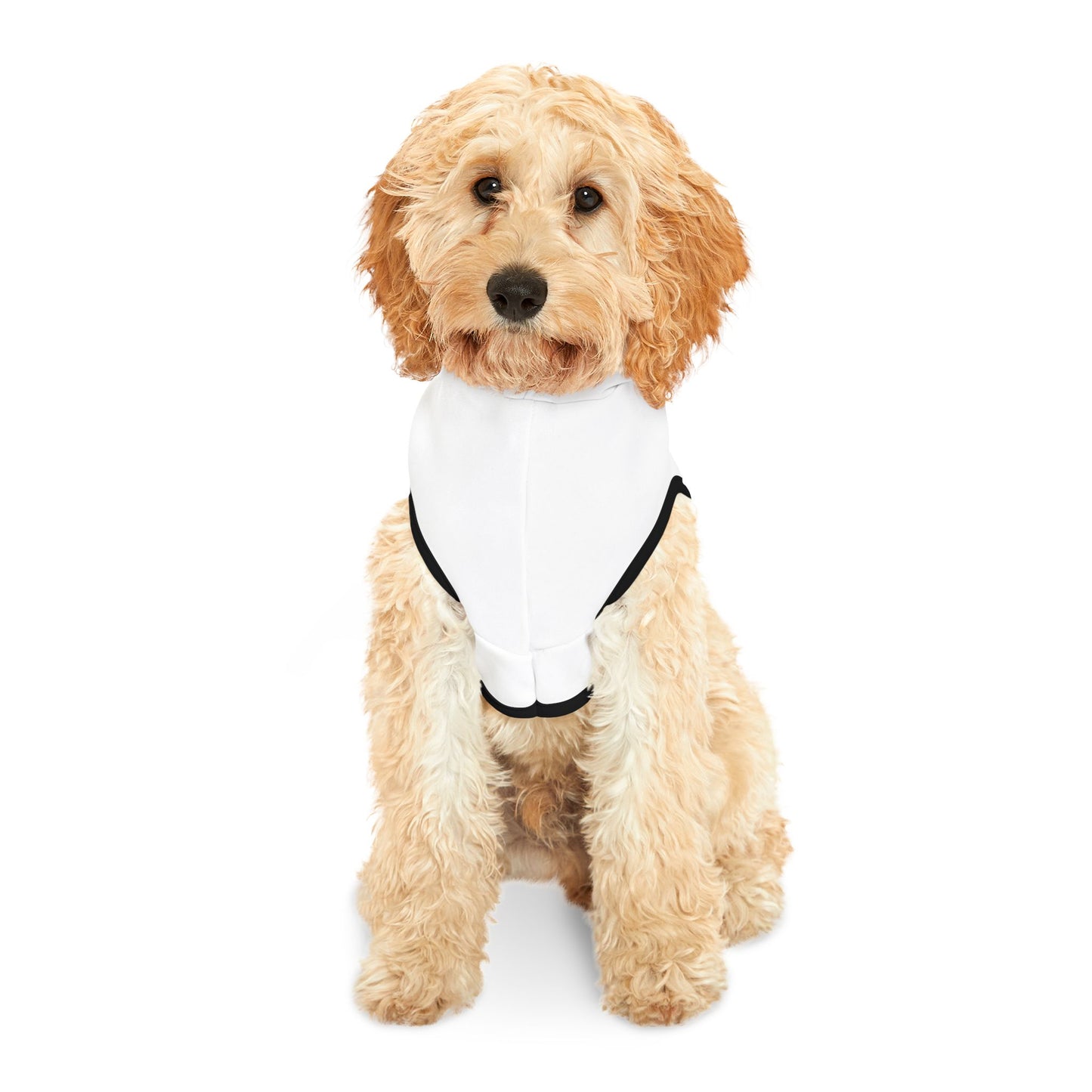 Pet Hoodie \ Marion County Red Raiders Band \ MCB1