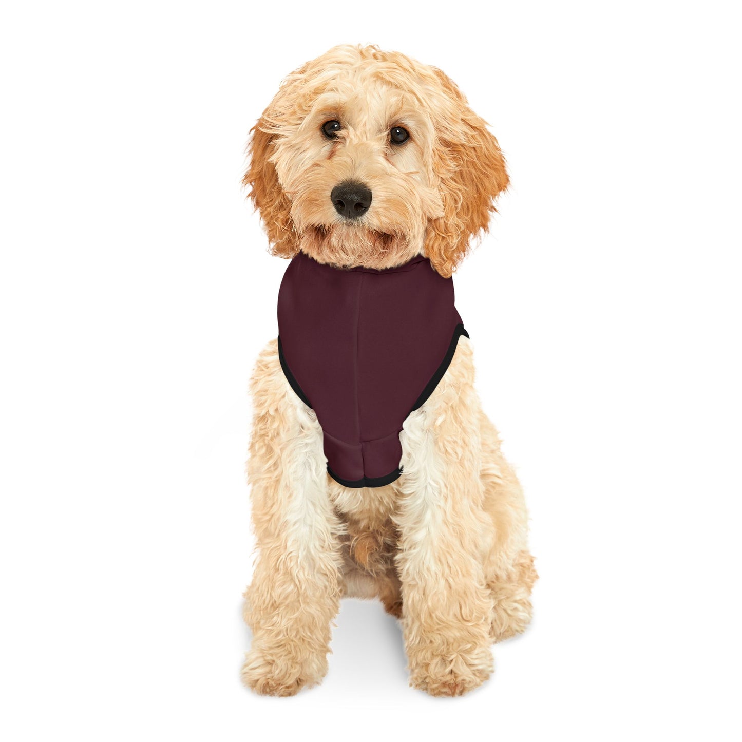Pet Hoodie \ Hamilton Aggies \ HAG1
