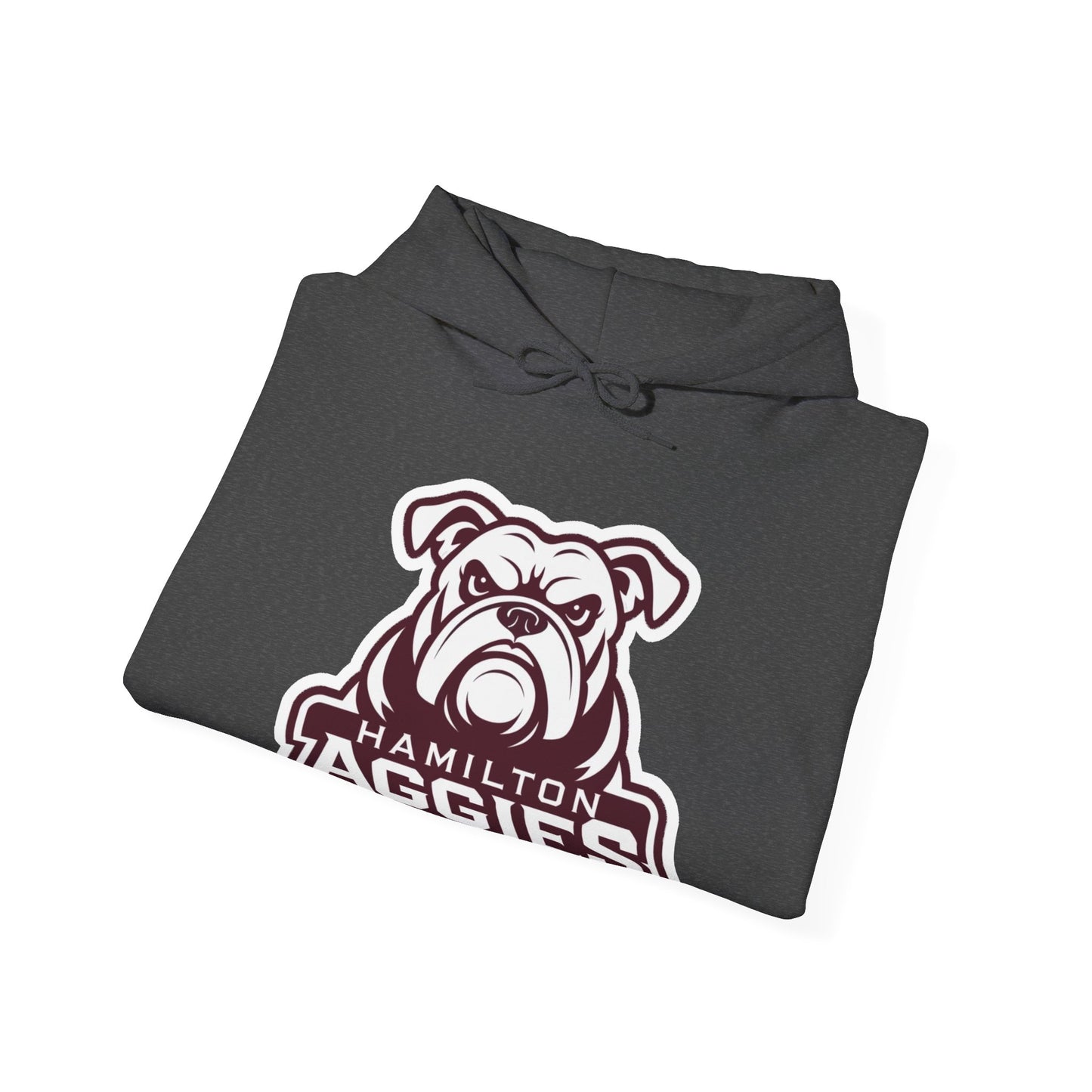 Adult Hoodie Sweatshirt \ Hamilton Aggies \ HA4