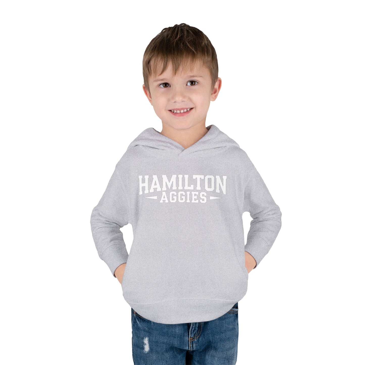 Toddler Hoodie Sweatshirt \ Hamilton Aggies \ HA3