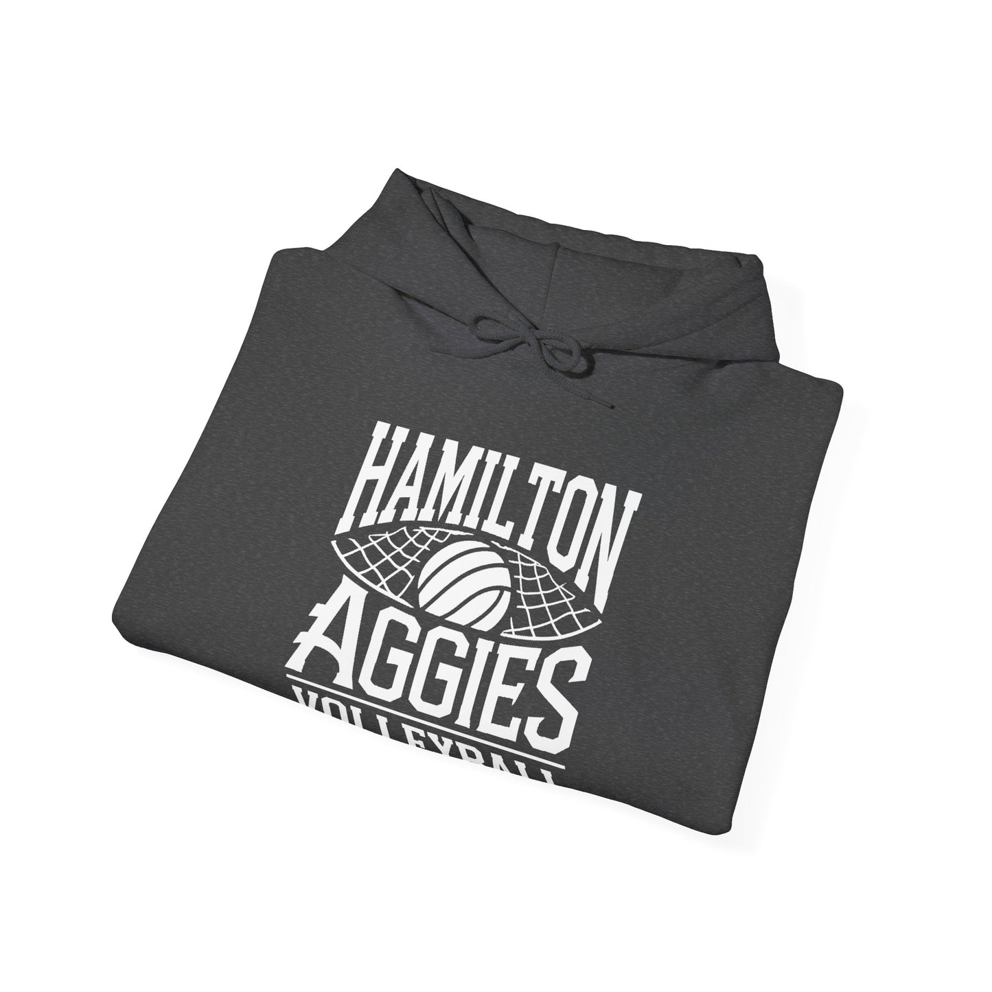 Adult Hoodie Sweatshirt \ Hamilton Aggies Volleyball \ HAV2