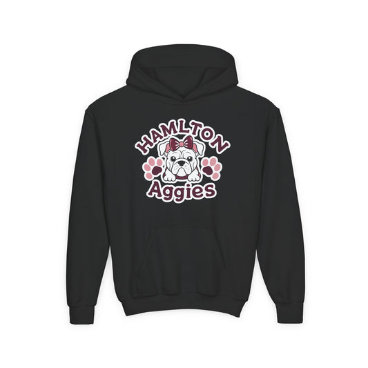 Youth Hoodie Sweatshirt \ Hamilton Aggies \ HAG3