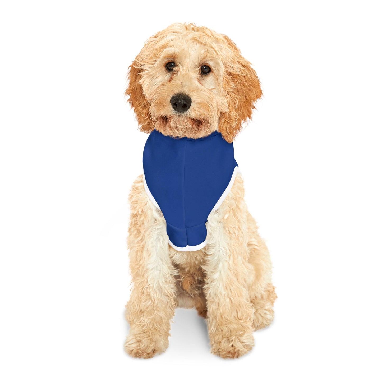 Pet Hoodie \ Brilliant Tigers Cheer \ BTC2