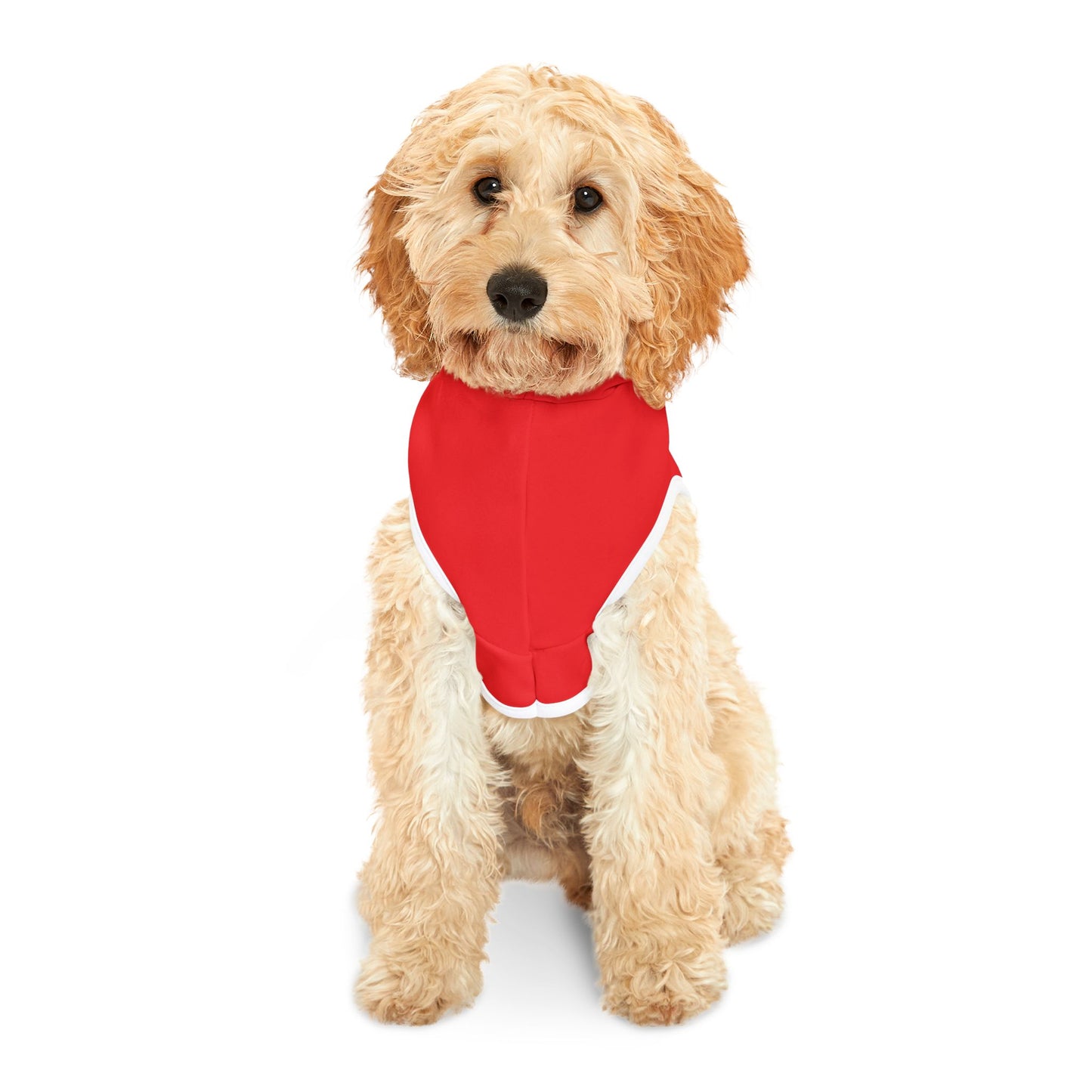 Pet Hoodie \ Marion County Red Raiders Cheer \ MCC1