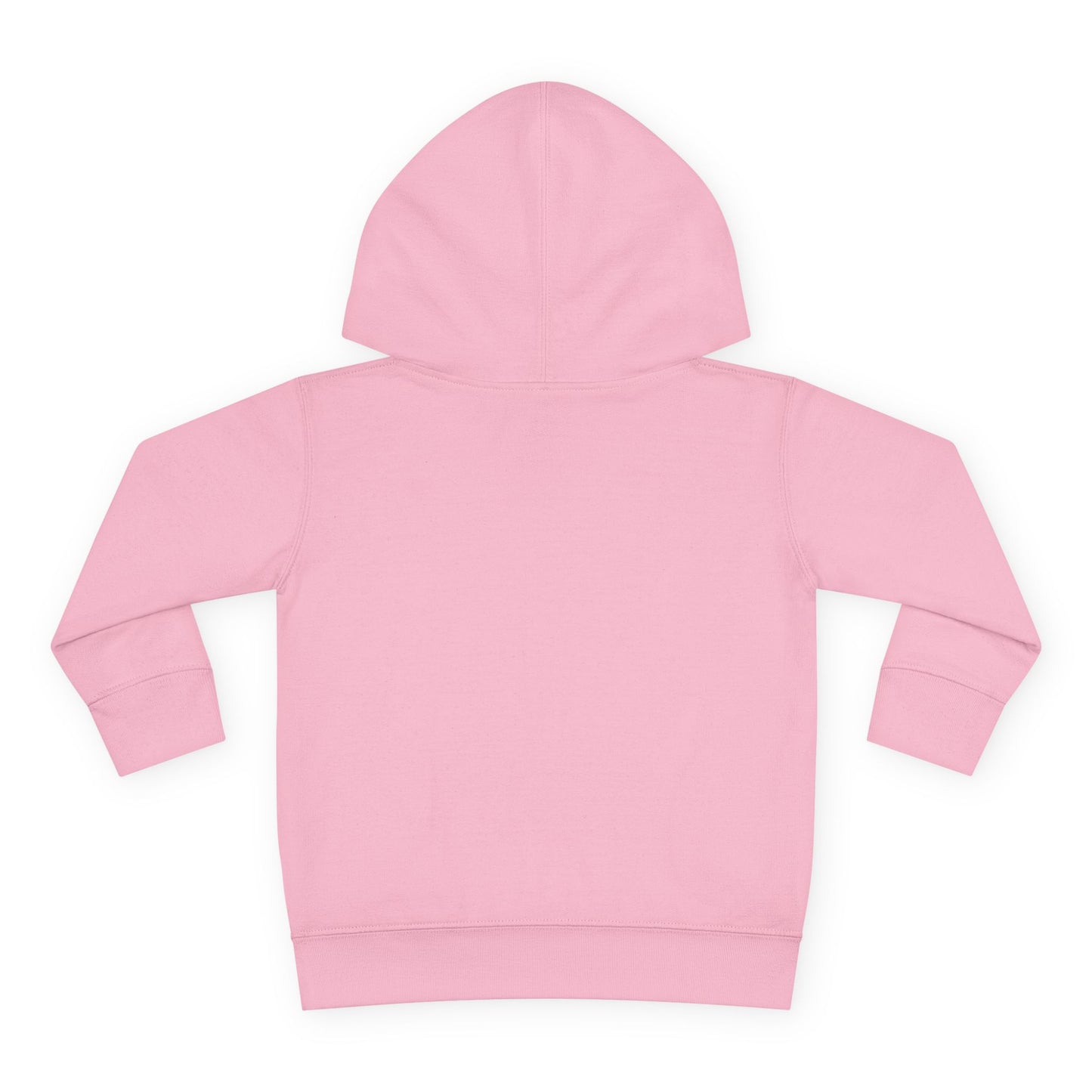 Toddler Hoodie Sweatshirt \ Hamilton Aggies Cheer \ HAC1