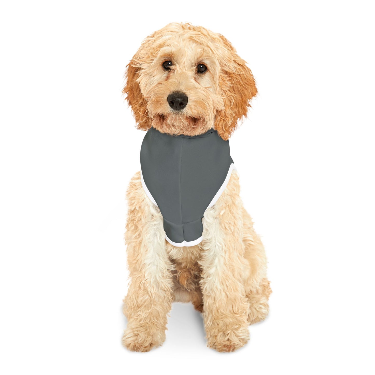 Pet Hoodie \ Hamilton Aggies Cheer \ Style HAC2