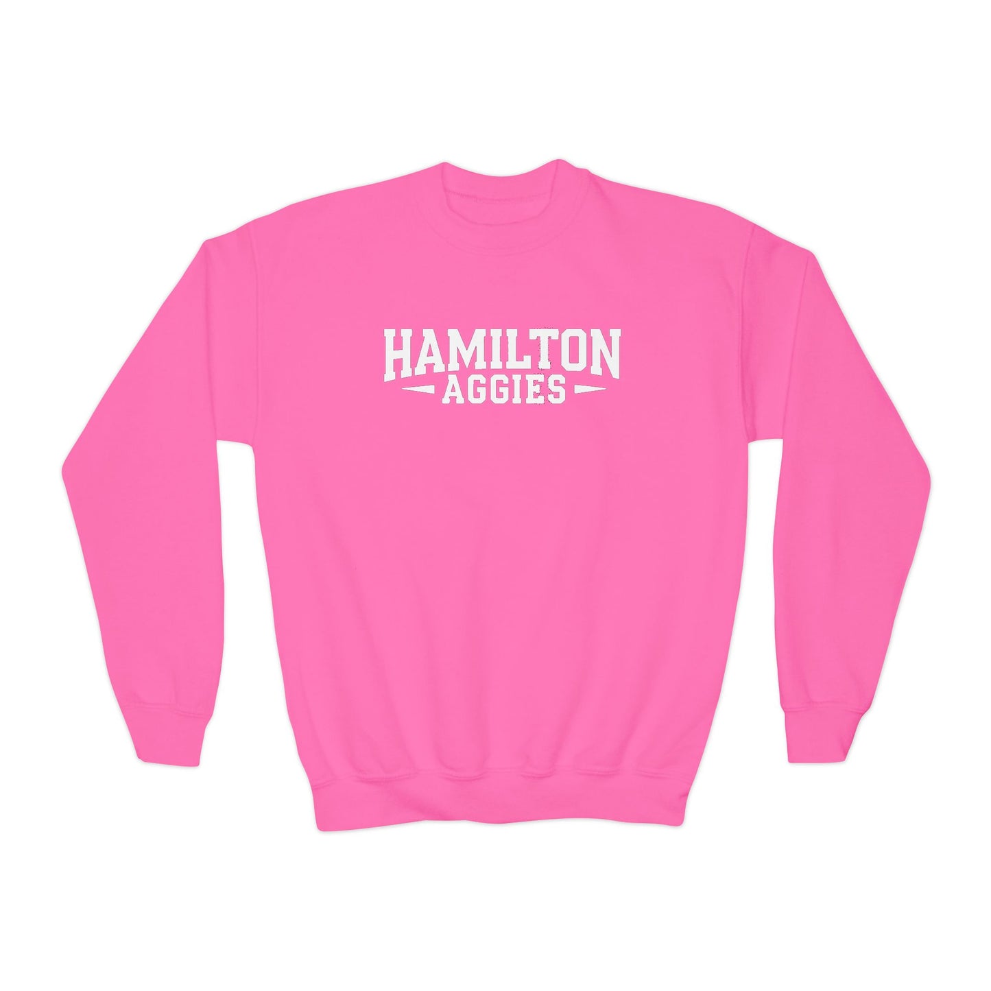 Youth Crewneck Sweatshirt \ Hamilton Aggies \ HA3
