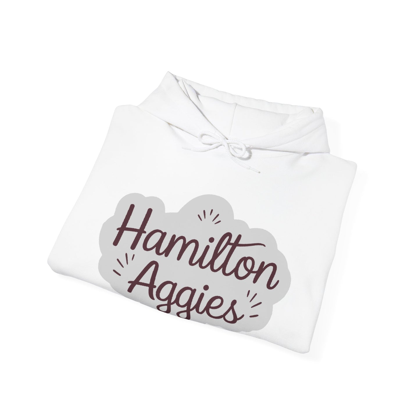 Adult Hoodie Sweatshirt \ Hamilton Aggies \ HAG1
