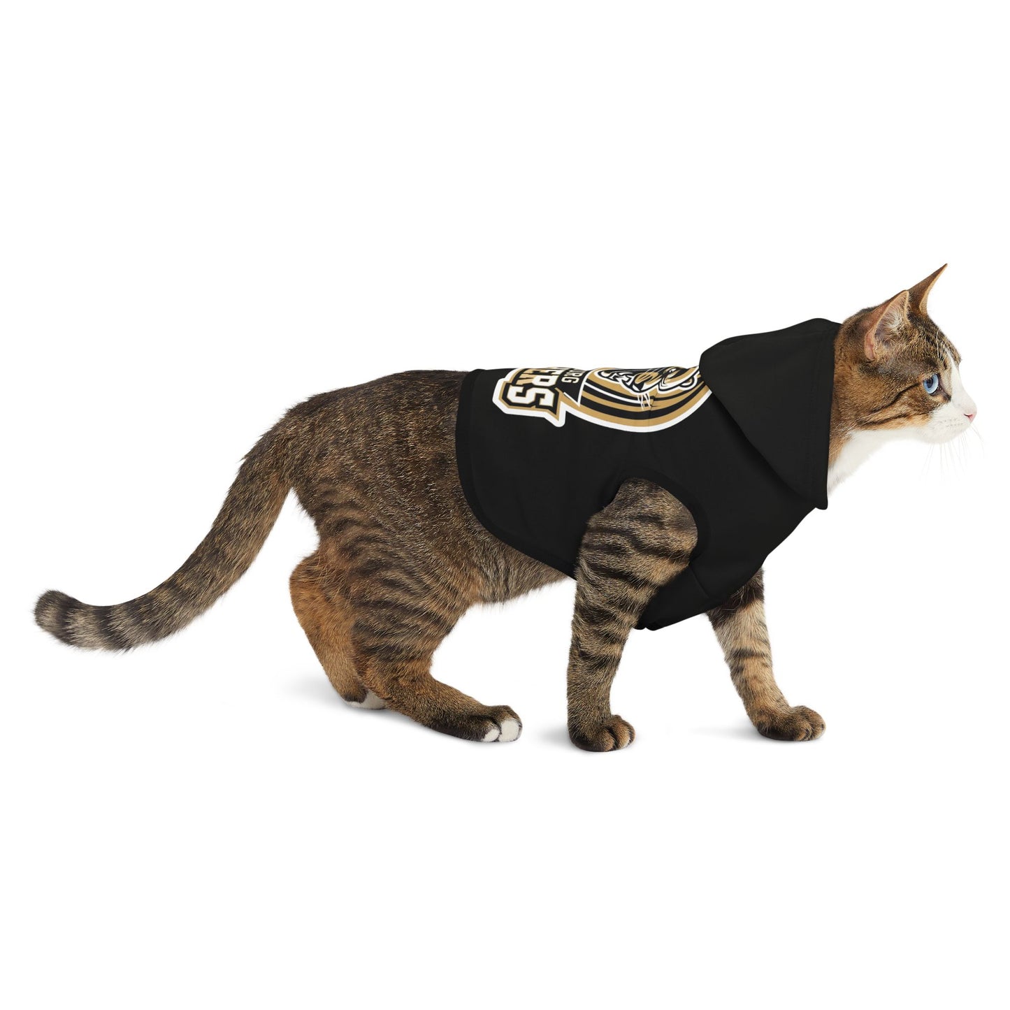 Pet Hoodie \ Hackleburg Panthers \ HP2