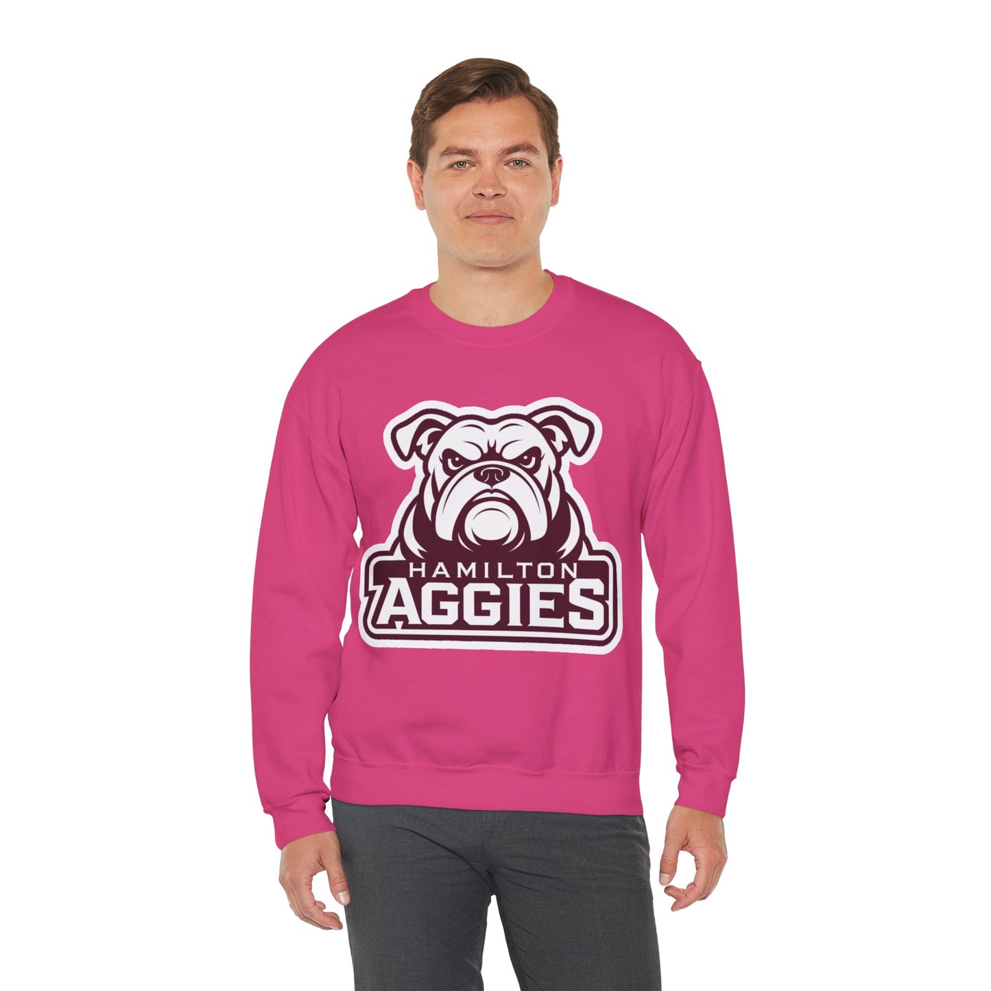 Adult Crewneck Sweatshirt \ Hamilton Aggies \ HA4