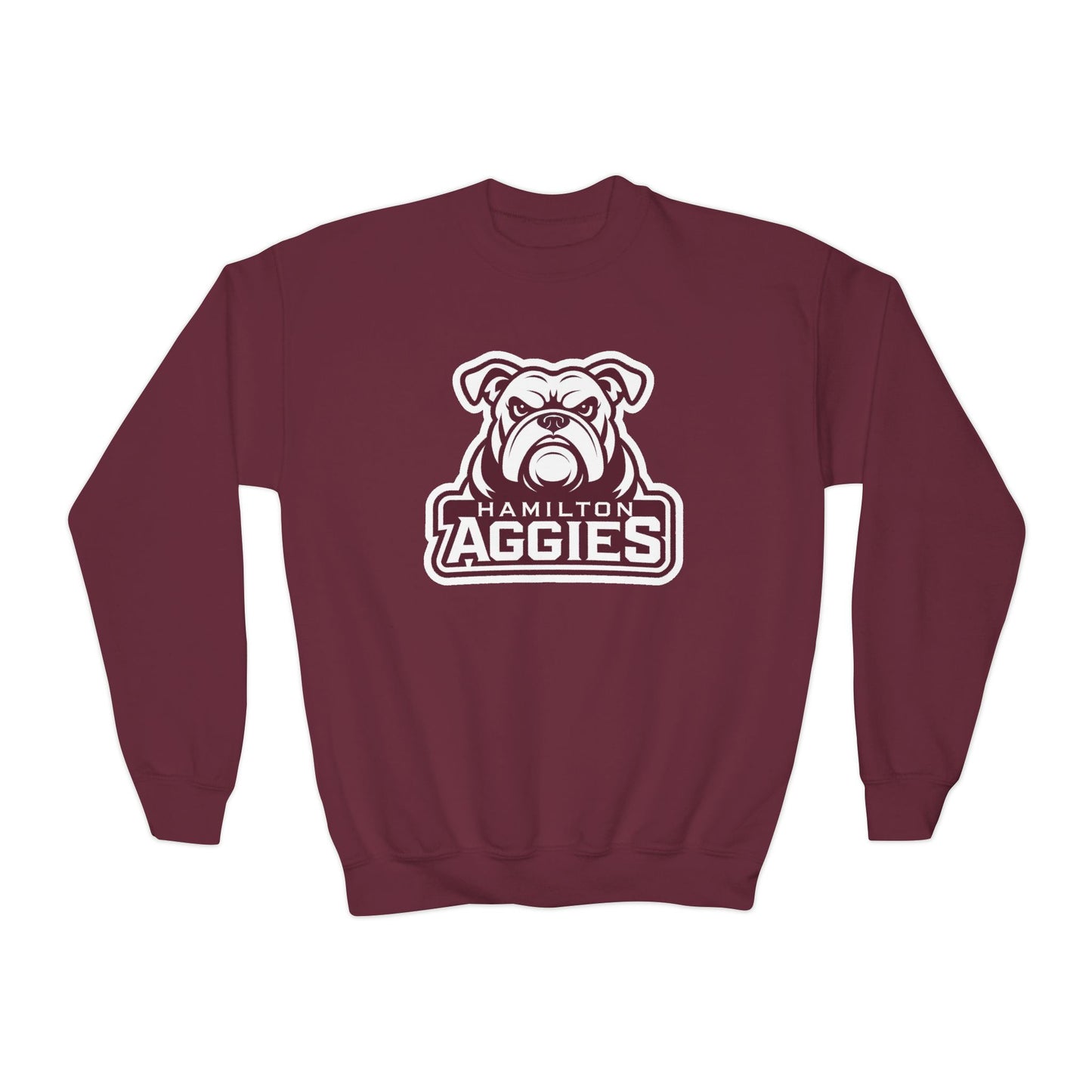 Youth Crewneck Sweatshirt \ Hamilton Aggies \ HA4