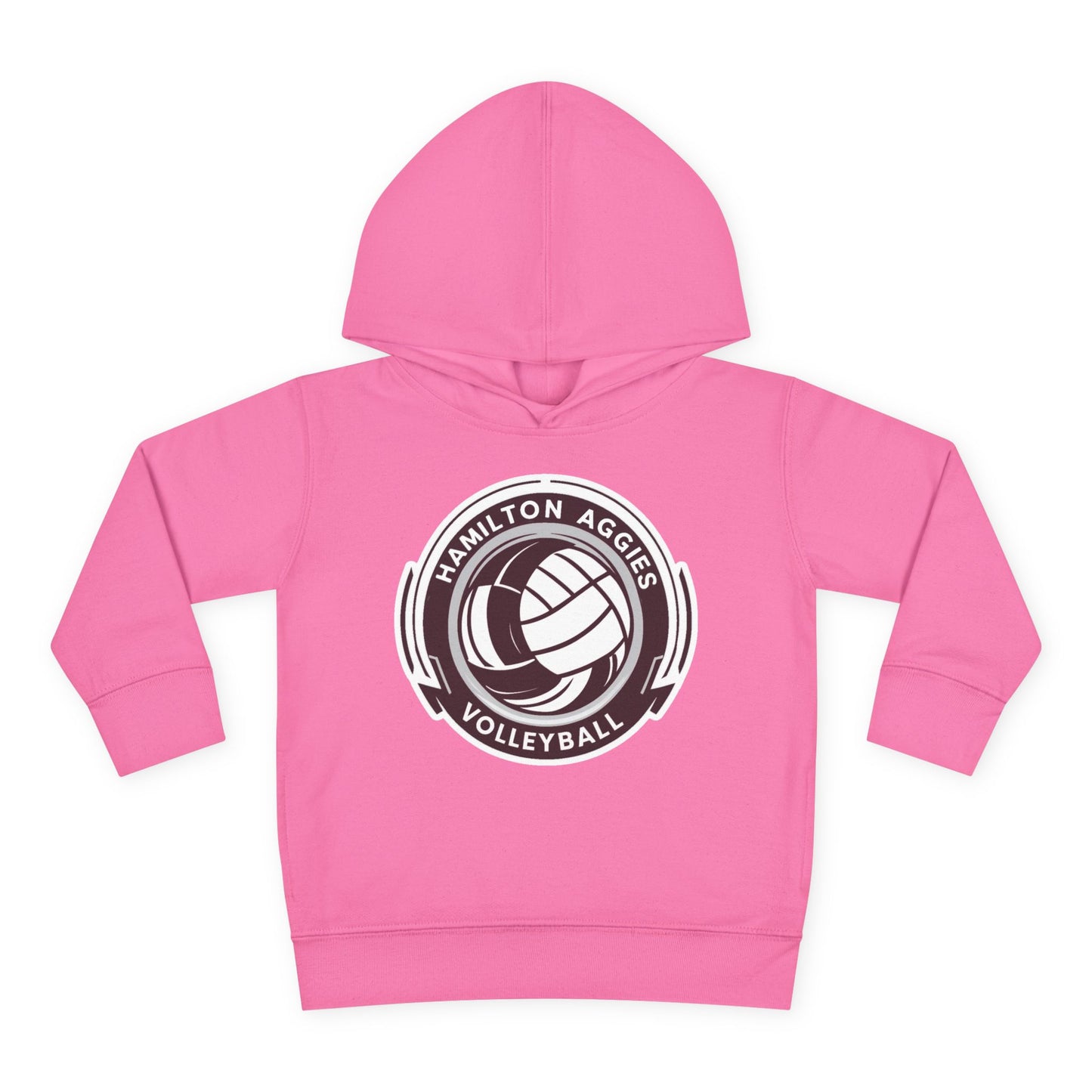 Toddler Hoodie Sweatshirt \ Hamilton Aggies Volleyball \ HAV1