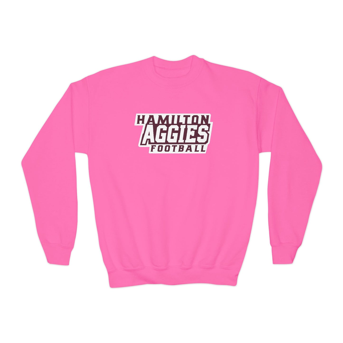 Youth Crewneck Sweatshirt \ Hamilton Aggies Football \ HAF1
