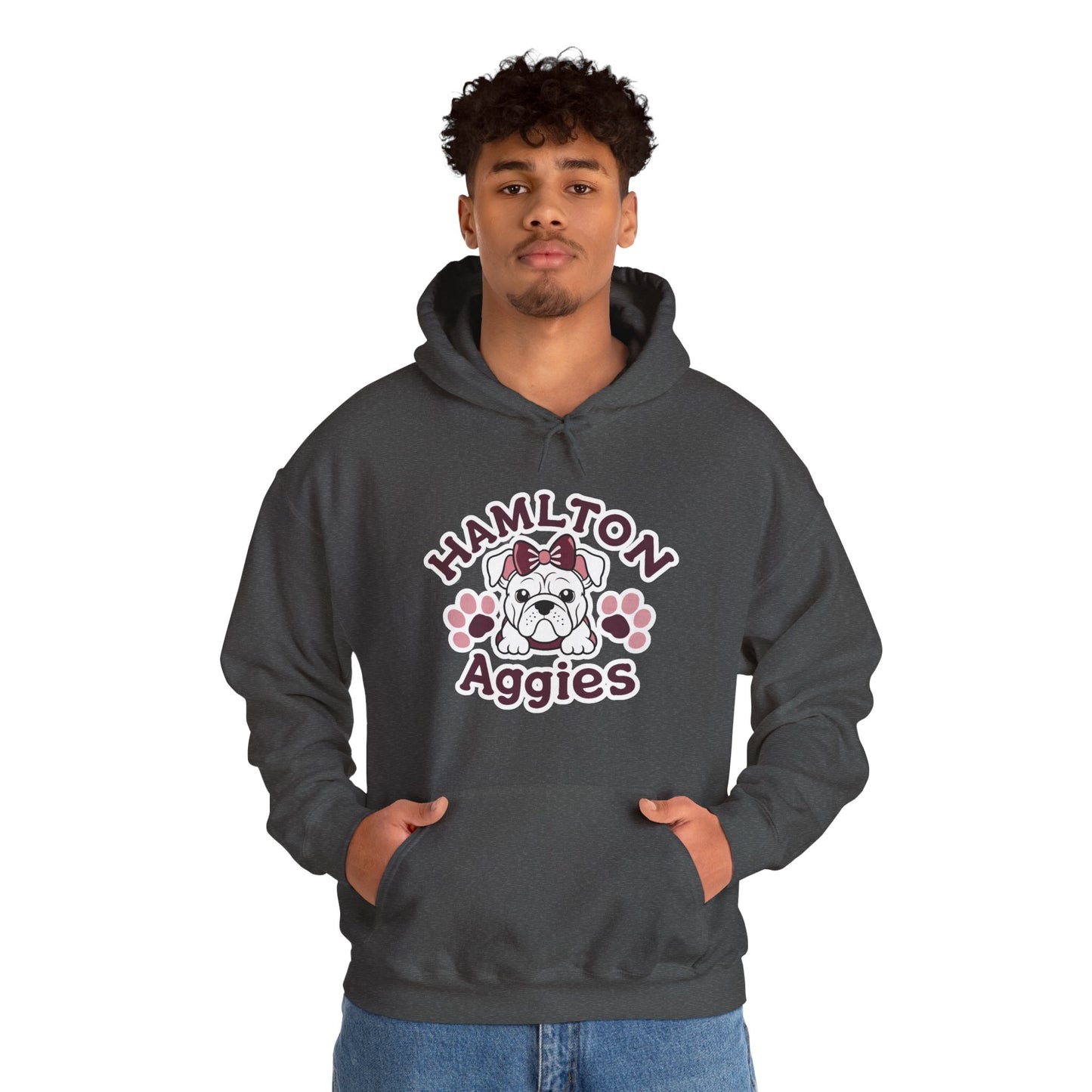 Adult Hoodie Sweatshirt \ Hamilton Aggies \ HAG3