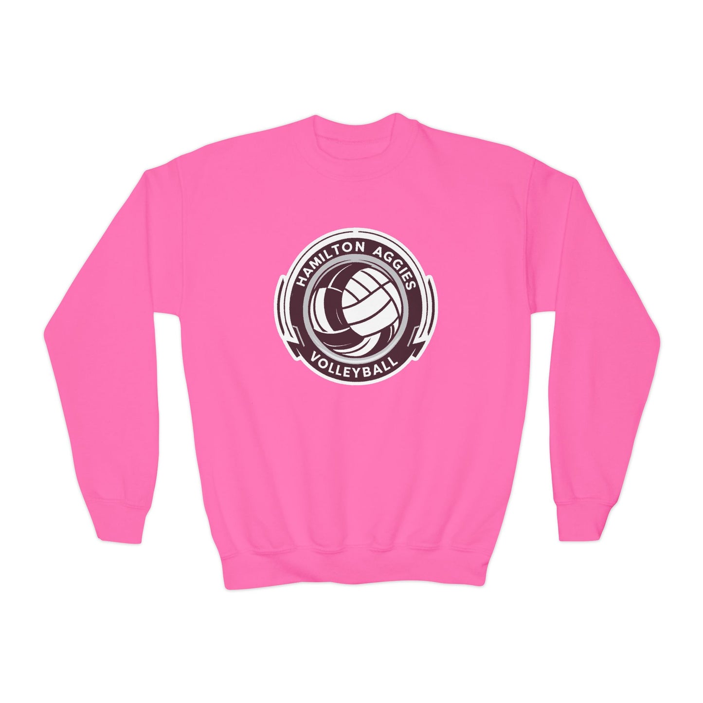 Youth Crewneck Sweatshirt \ Hamilton Aggies Volleyball \ HAV1
