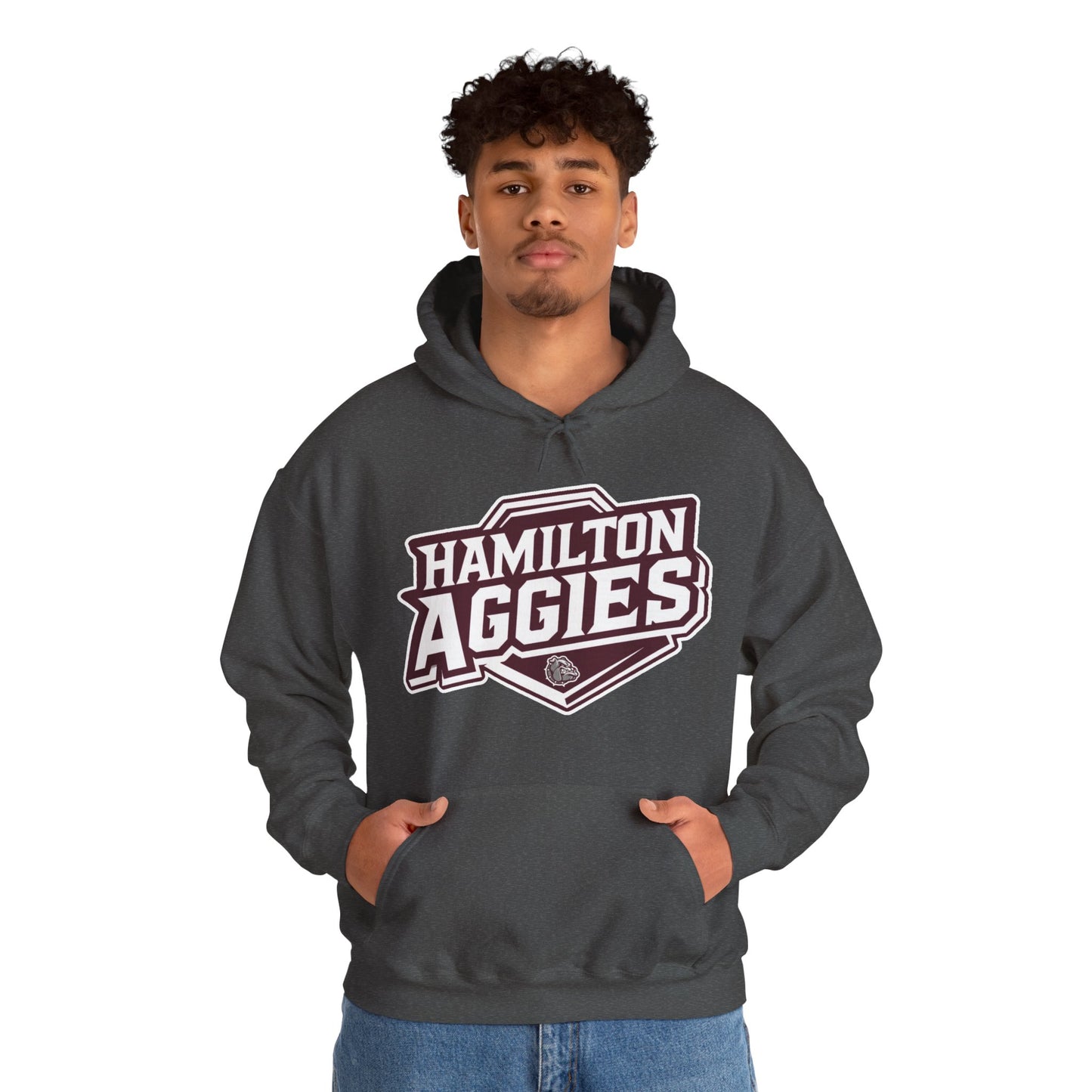 Adult Hoodie Sweatshirt \ Hamilton Aggies \ HA1