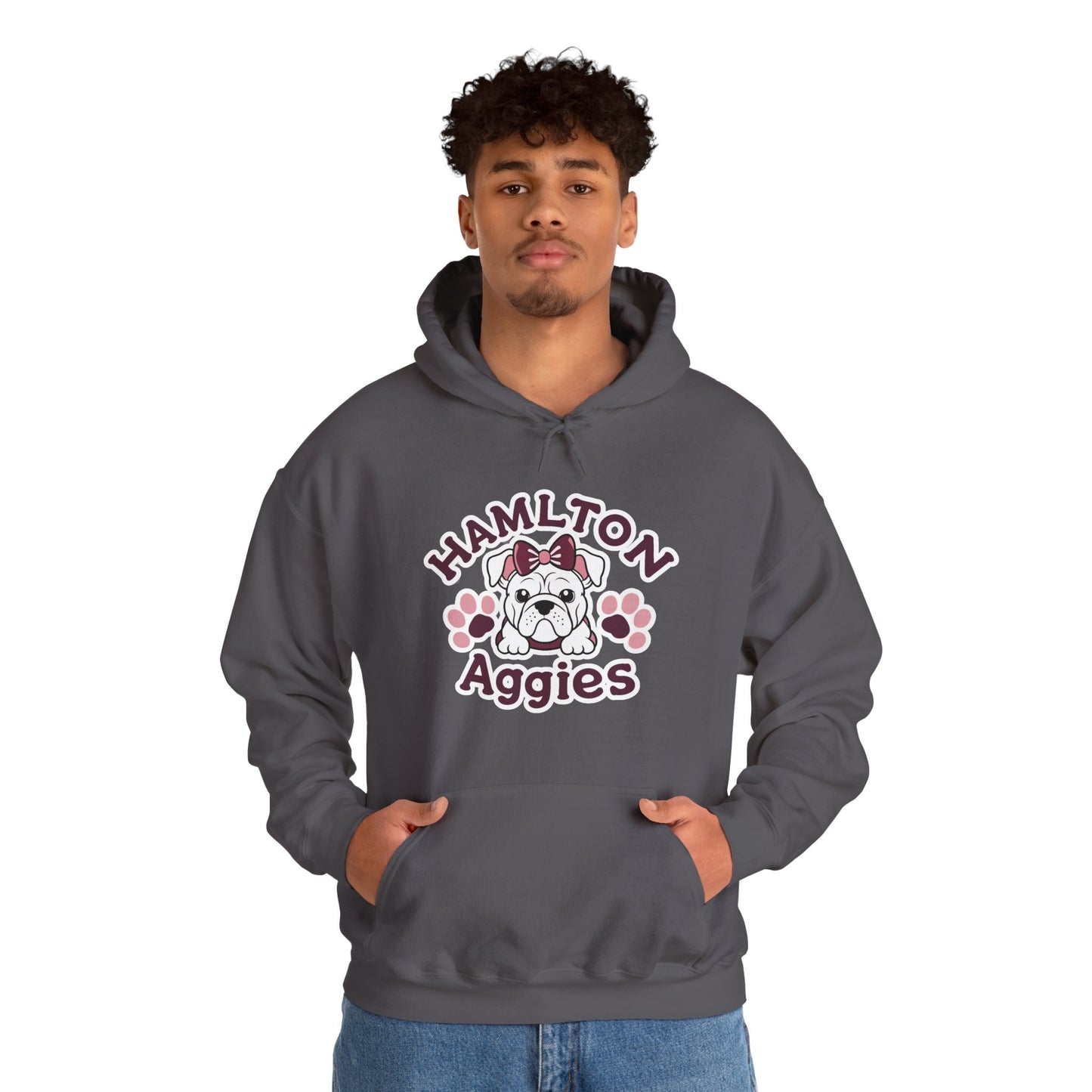 Adult Hoodie Sweatshirt \ Hamilton Aggies \ HAG3
